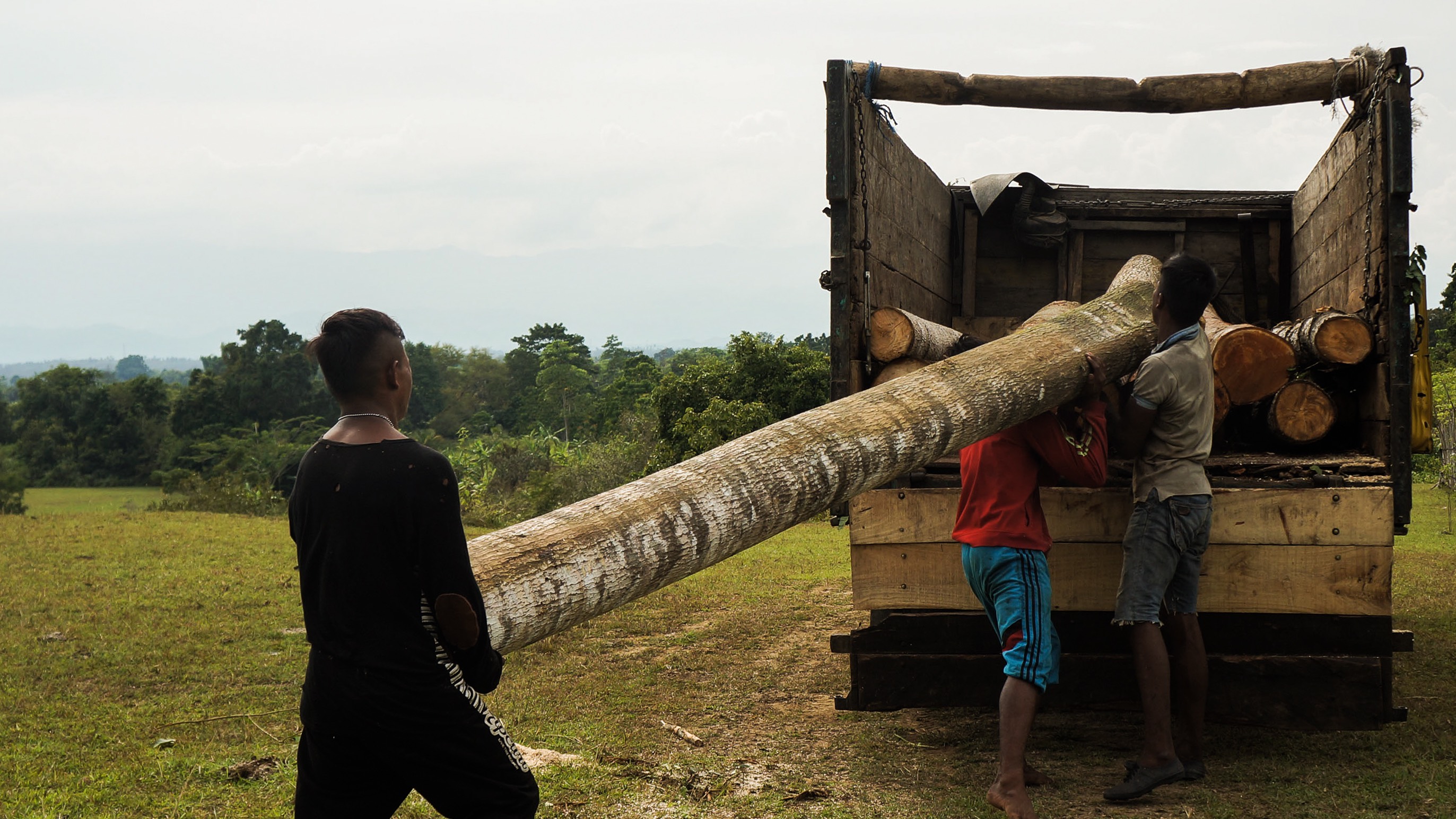 a-day-with-some-illegal-loggers-cutting-down-indonesia-s-rainforest-vice