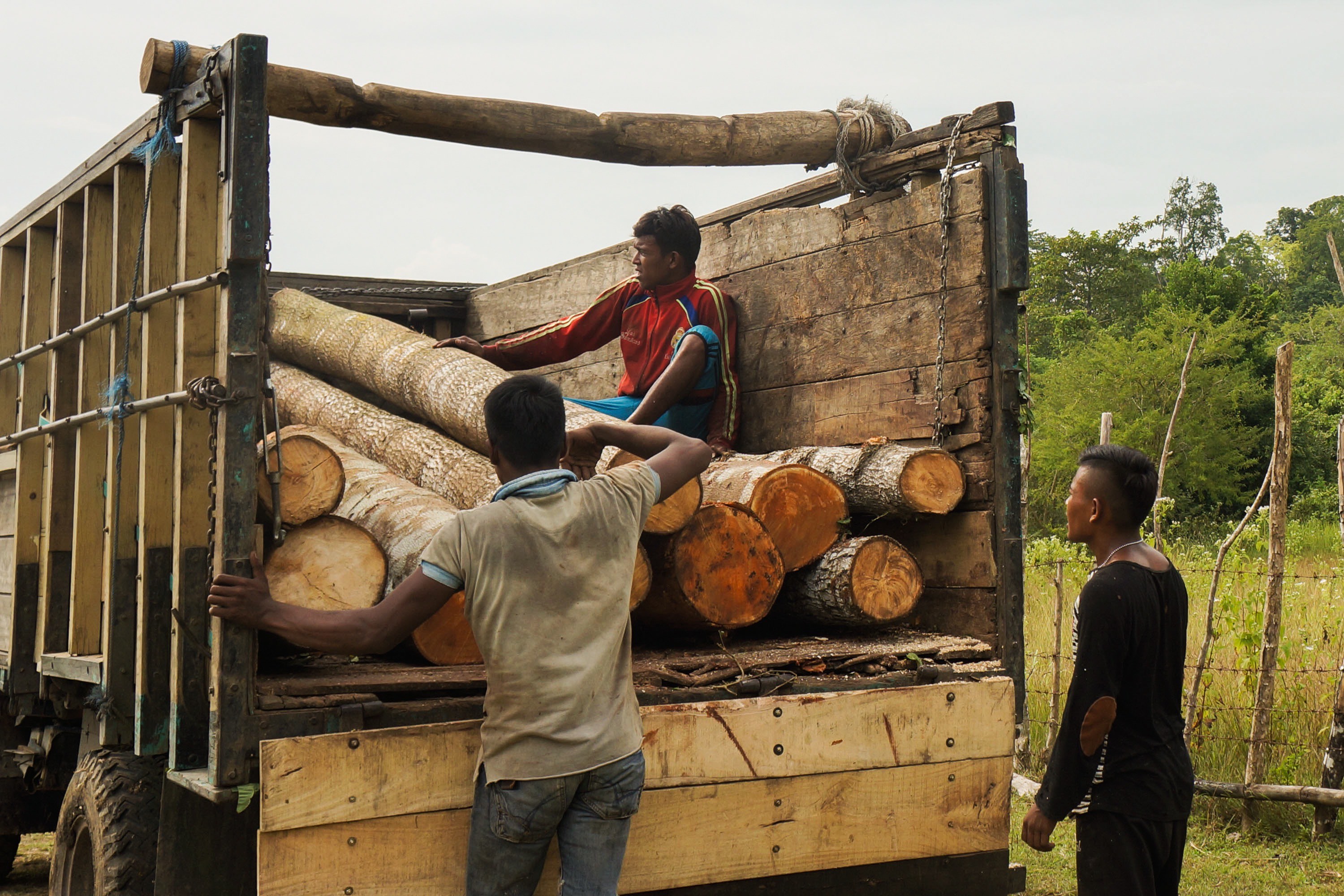 a-day-with-some-illegal-loggers-cutting-down-indonesia-s-rainforest-vice