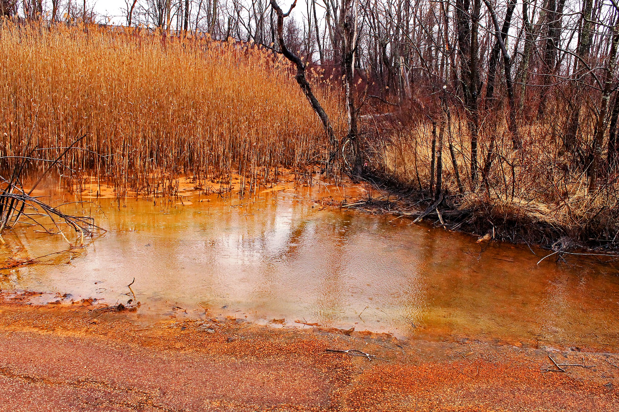 gold from extract how rock Earth Extract from to The Rare Coal Mining Plan Metals