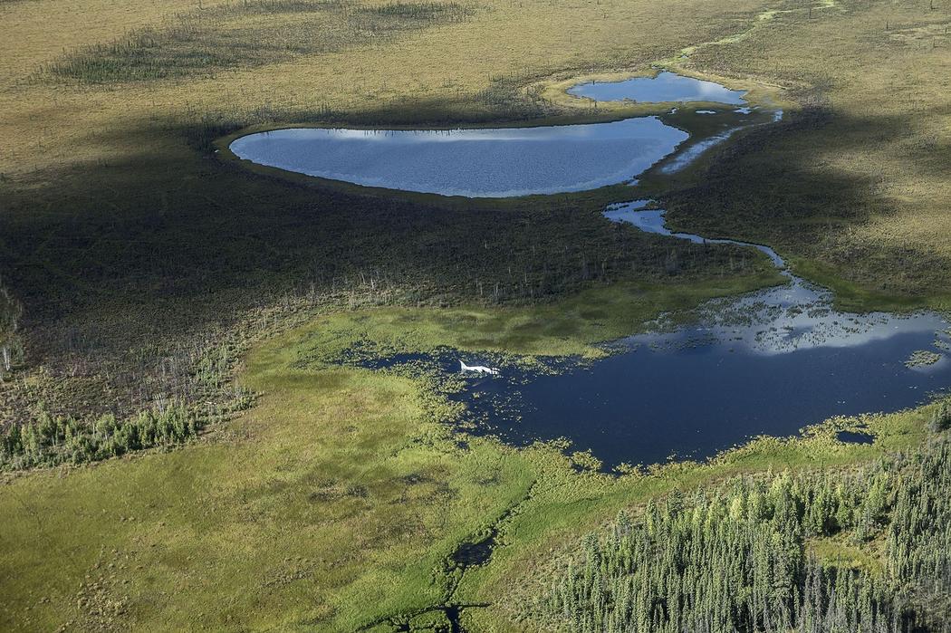 vliegtuigwrak canada meer