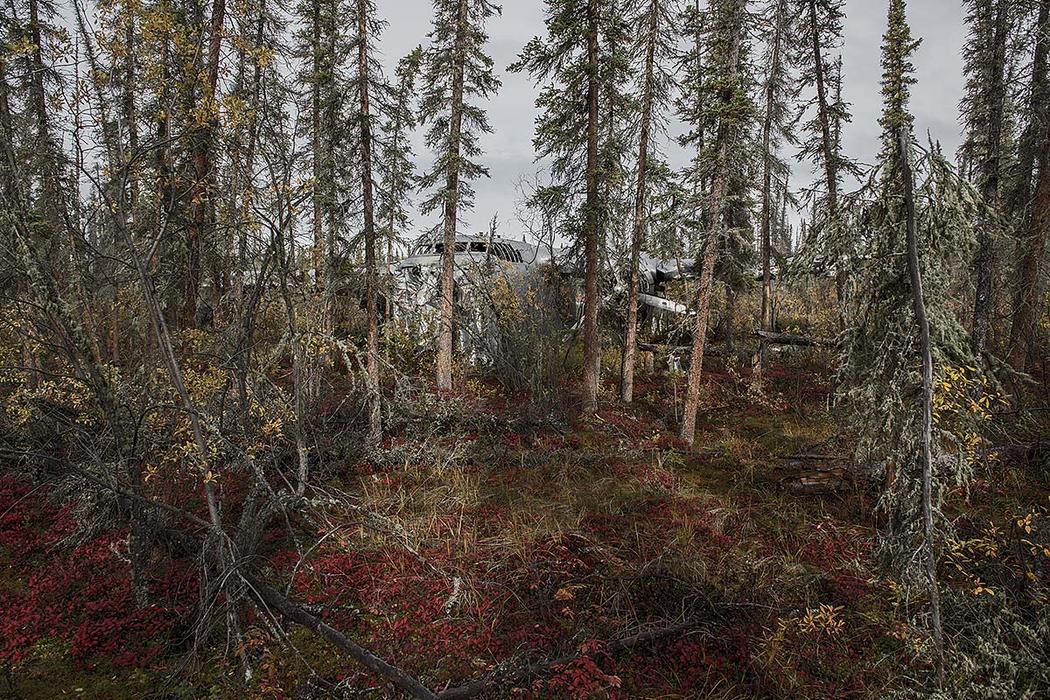 vliegtuigwrak bos alaska verenigde staten