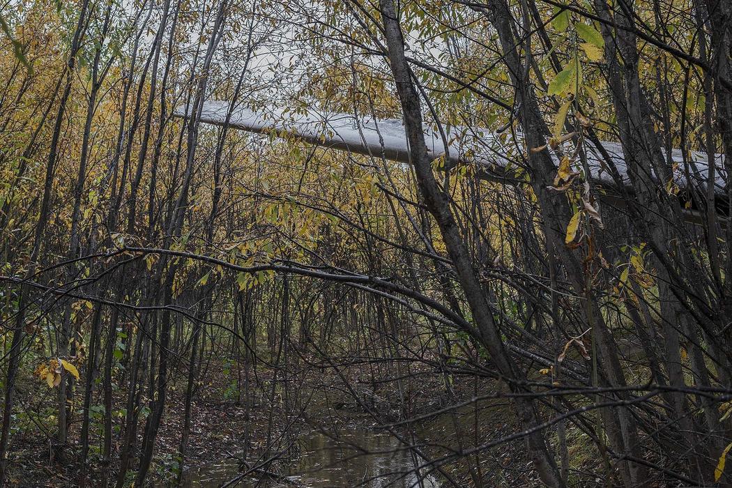 vliegtuigwrak bos verenigde staten amerika