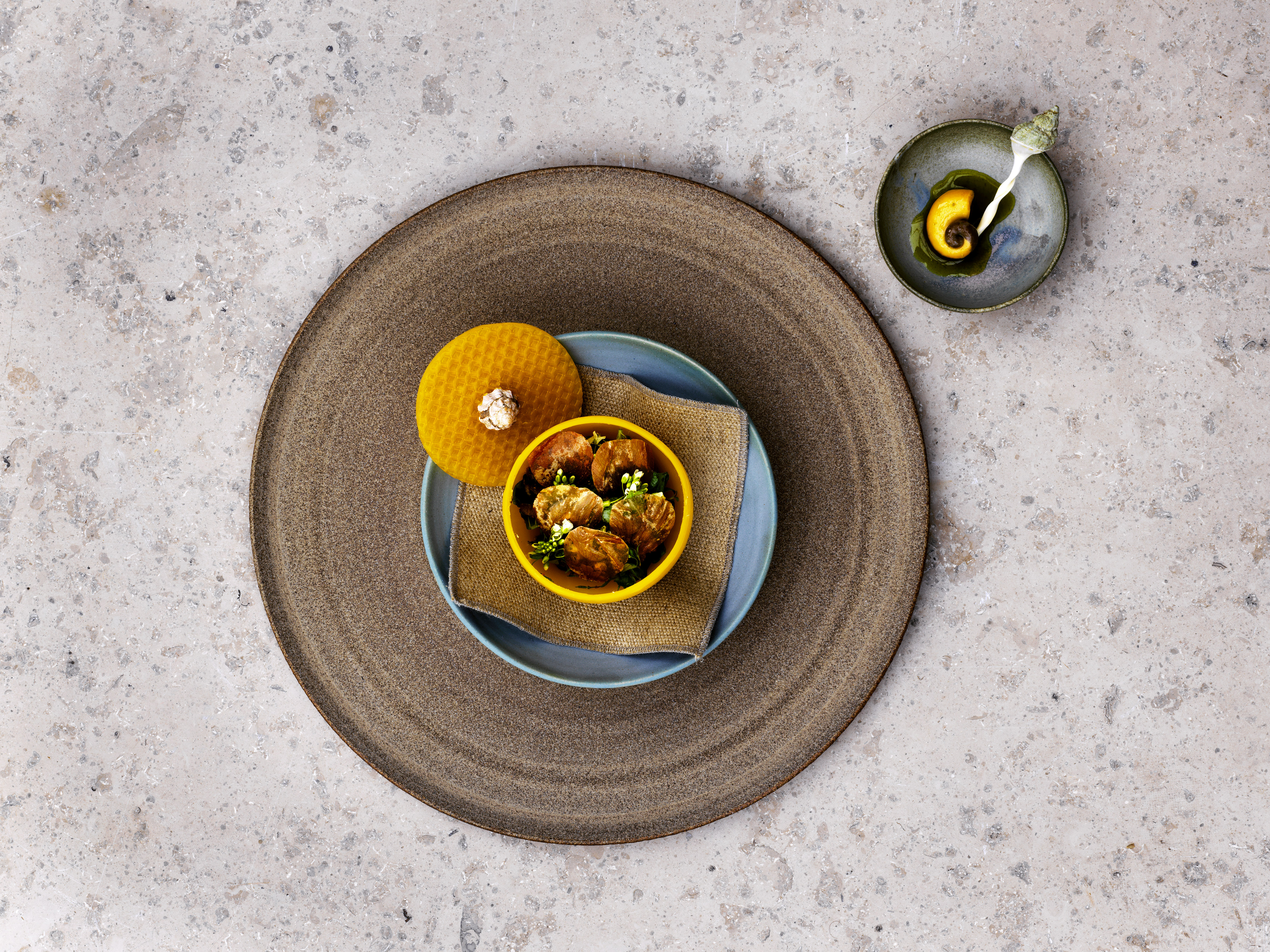 1519116510075-Sea-snail