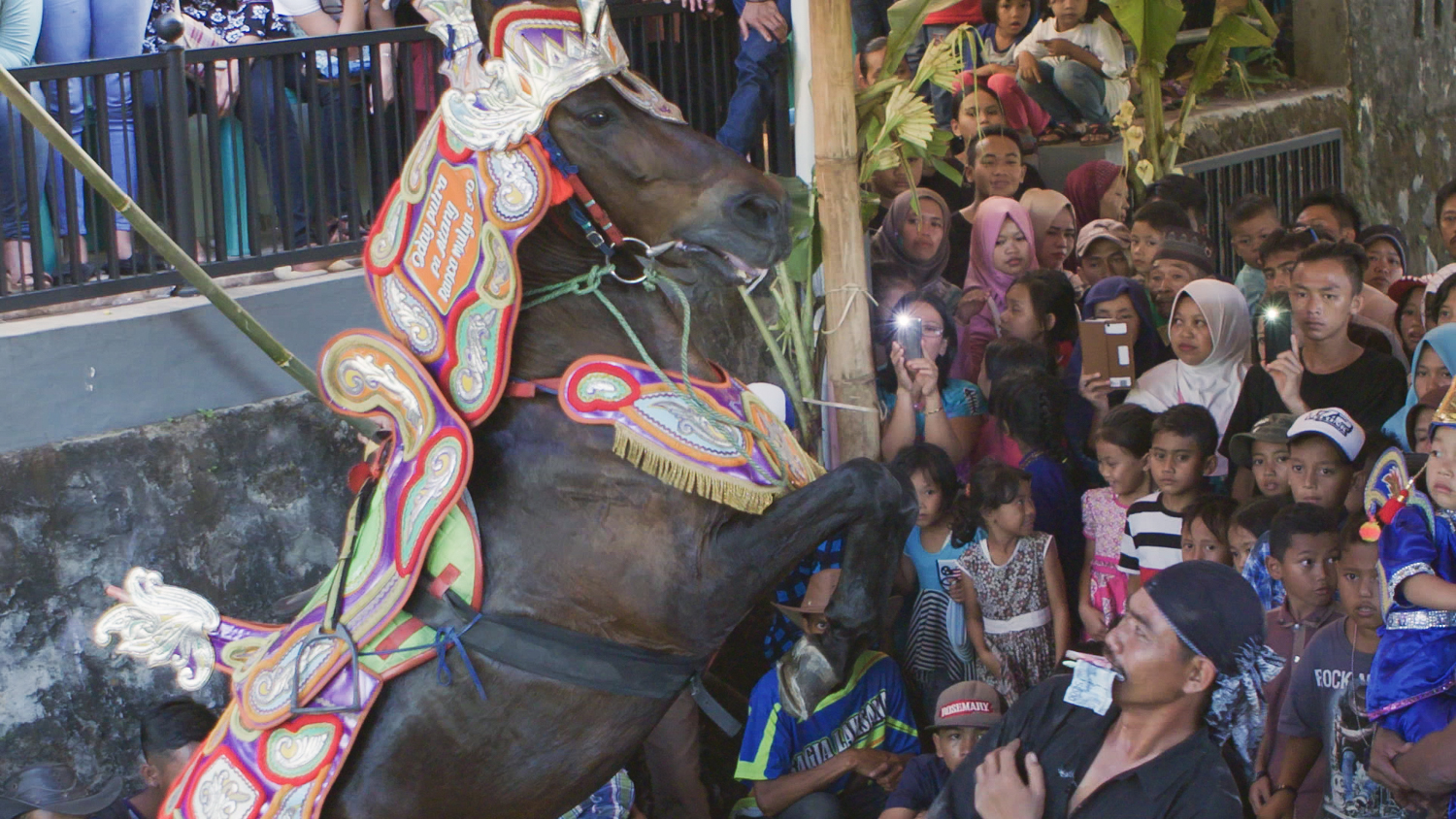1523858357018-BOOGIE_HORSE-3-of-18