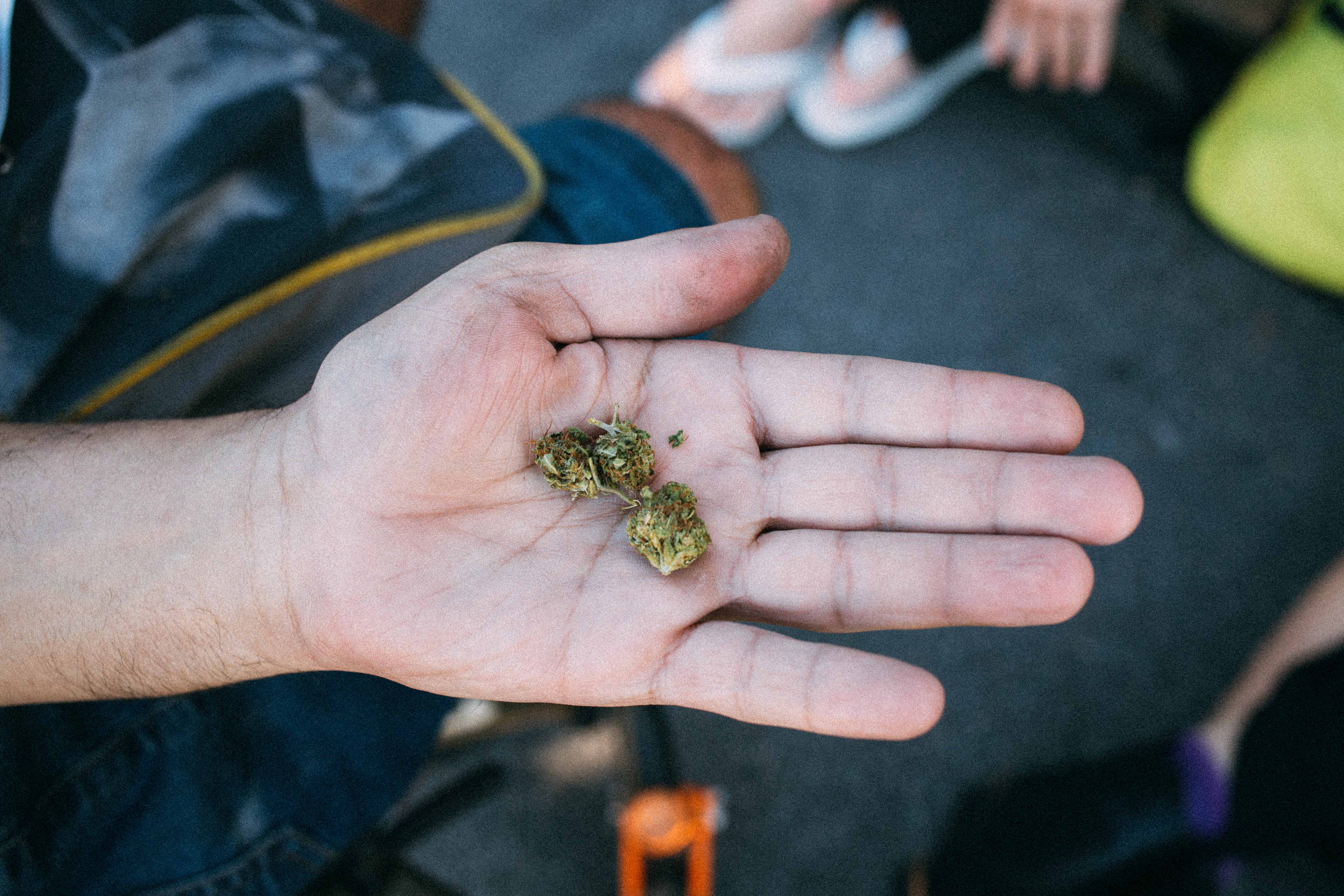 lazy placeholder Especial Vice: A legalização da cannabis no Brasil pode reparar danos históricos