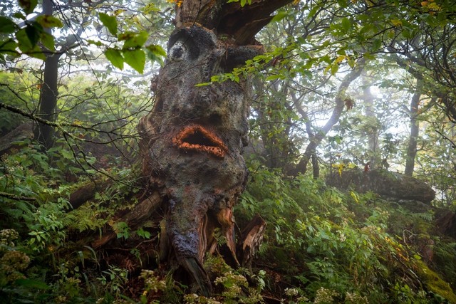 That Creepy Abandoned Wizard Of Oz Theme Park Is Reopening This