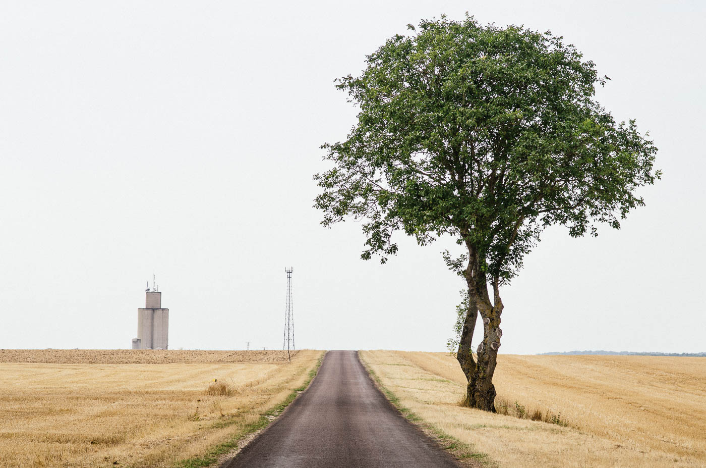 Buddhas Brandy And Wild Horses Beautiful Photos Of The Deserted French Countryside