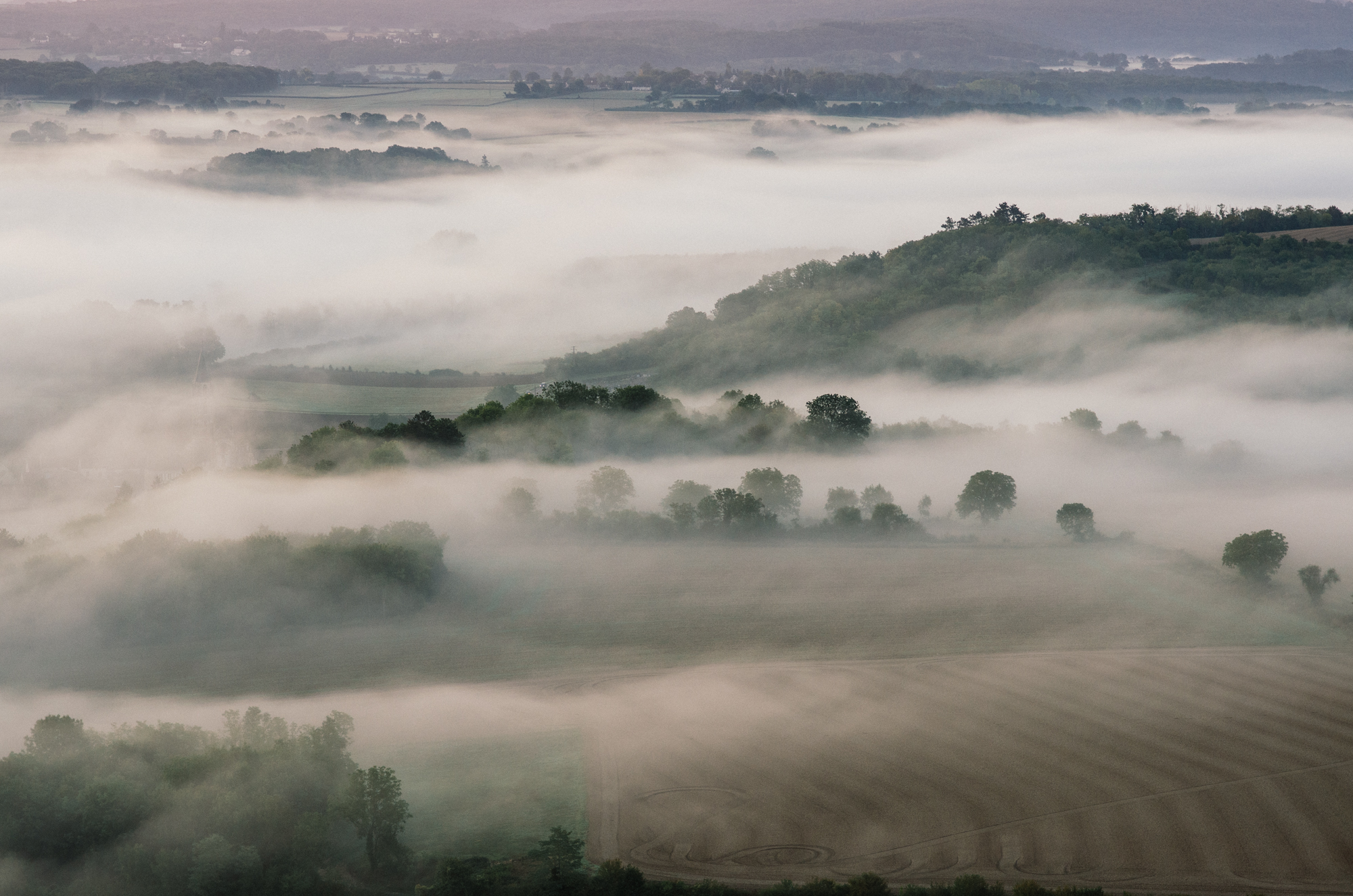 Buddhas Brandy And Wild Horses Beautiful Photos Of The Deserted French Countryside