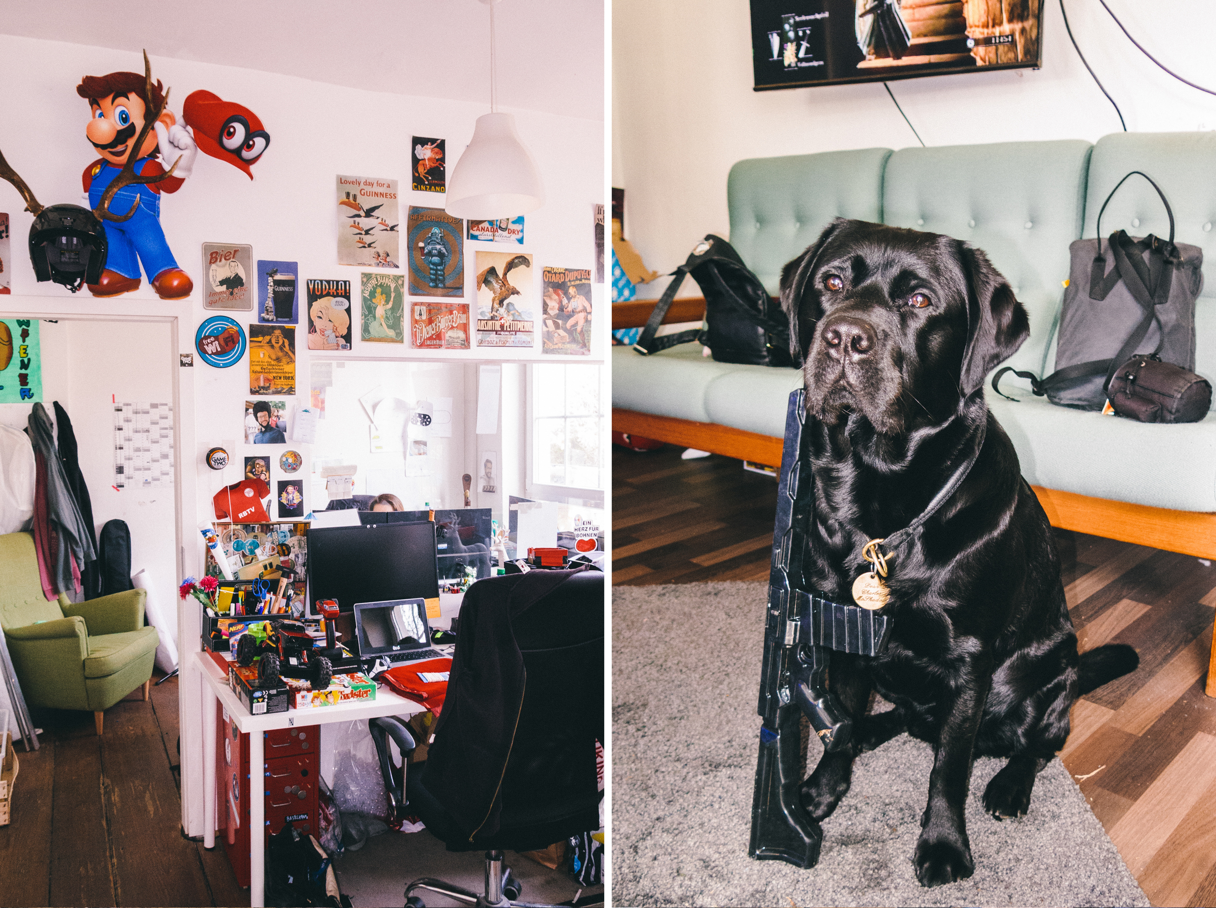 Bei den Rocket Beans ist selbst Bürohund Dean ein Social-Media-Star. Hier posiert er mit einer Spielzeugwaffe