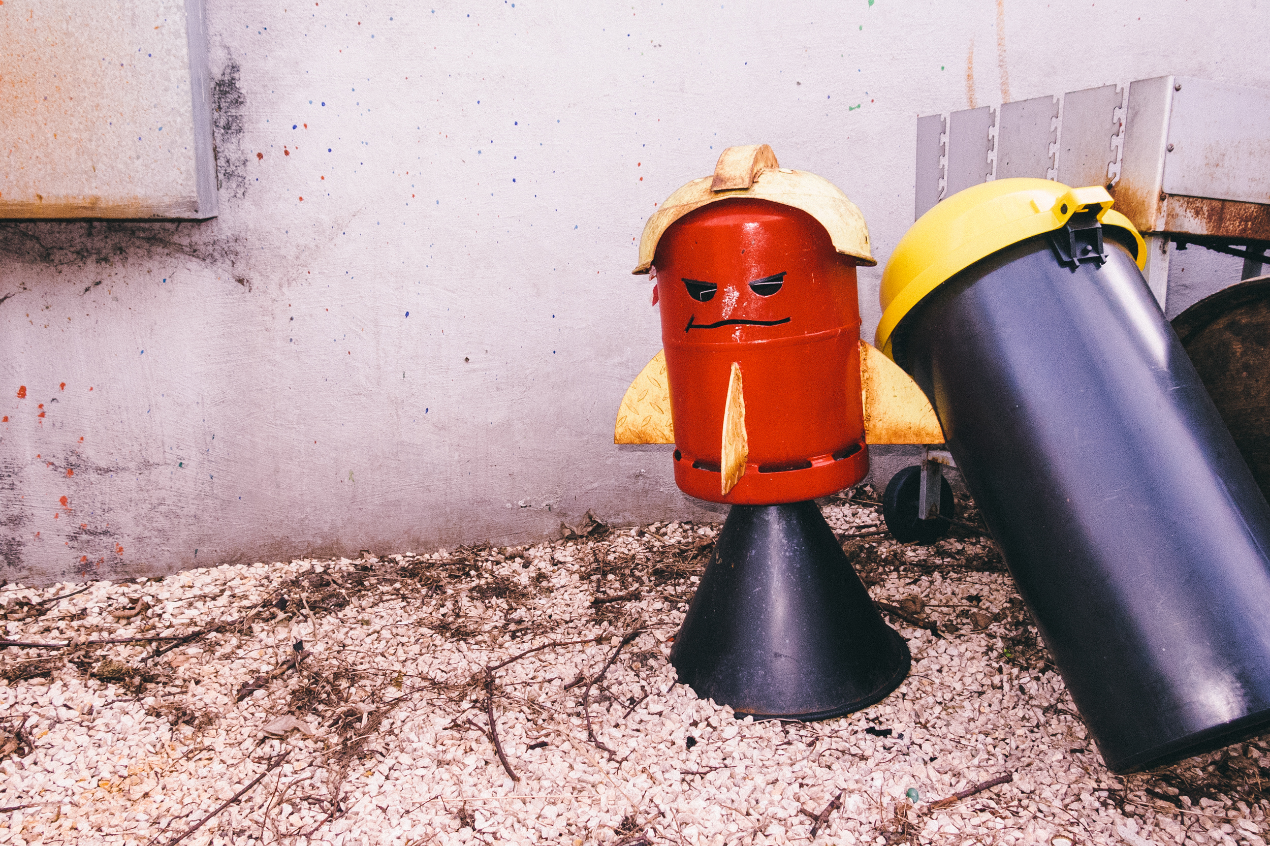 Eine Raketenbohne im Redaktionsgarten von Rocket Beans TV
