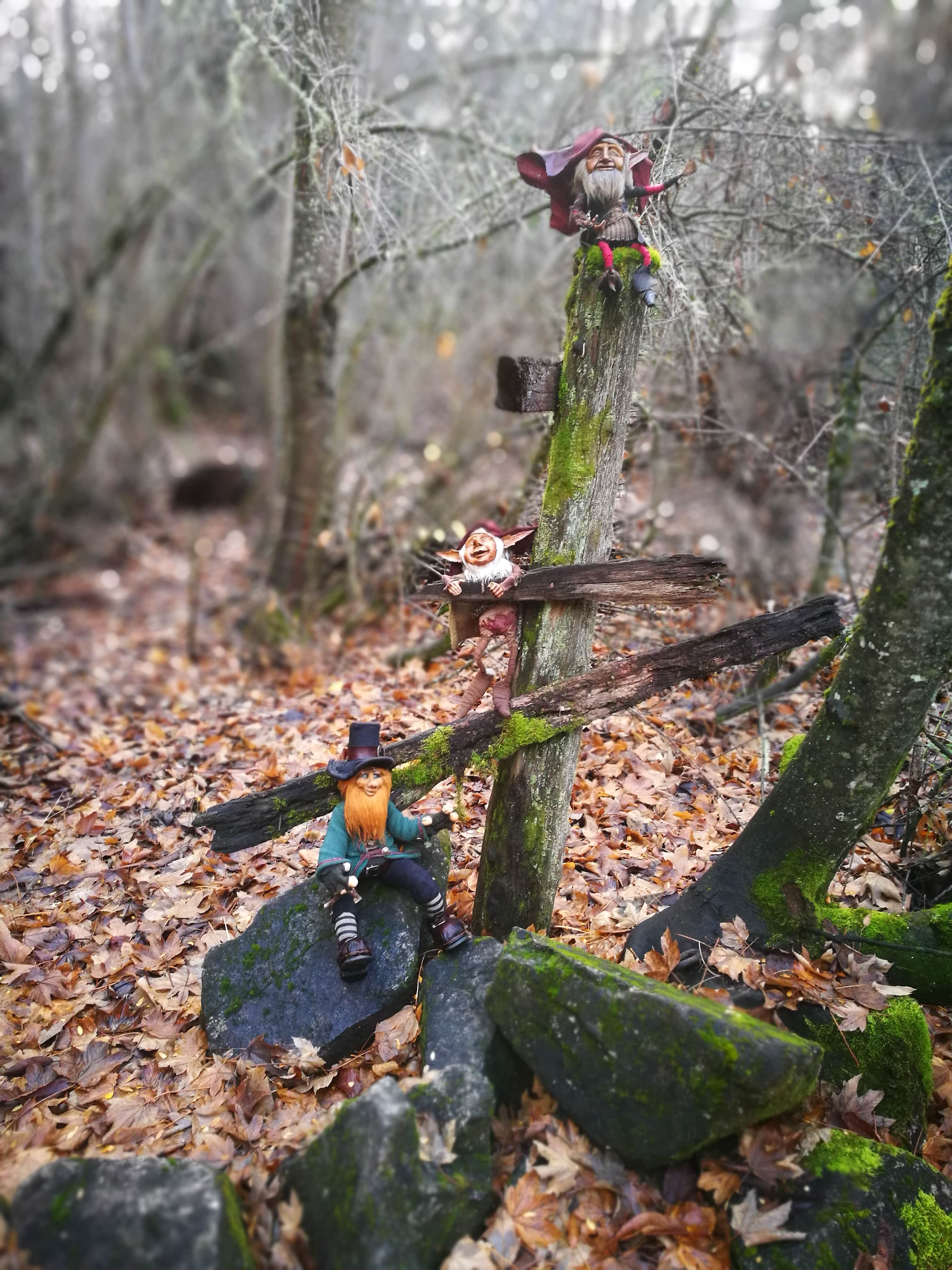 En Bariloche, una “Aldea de Duendes”