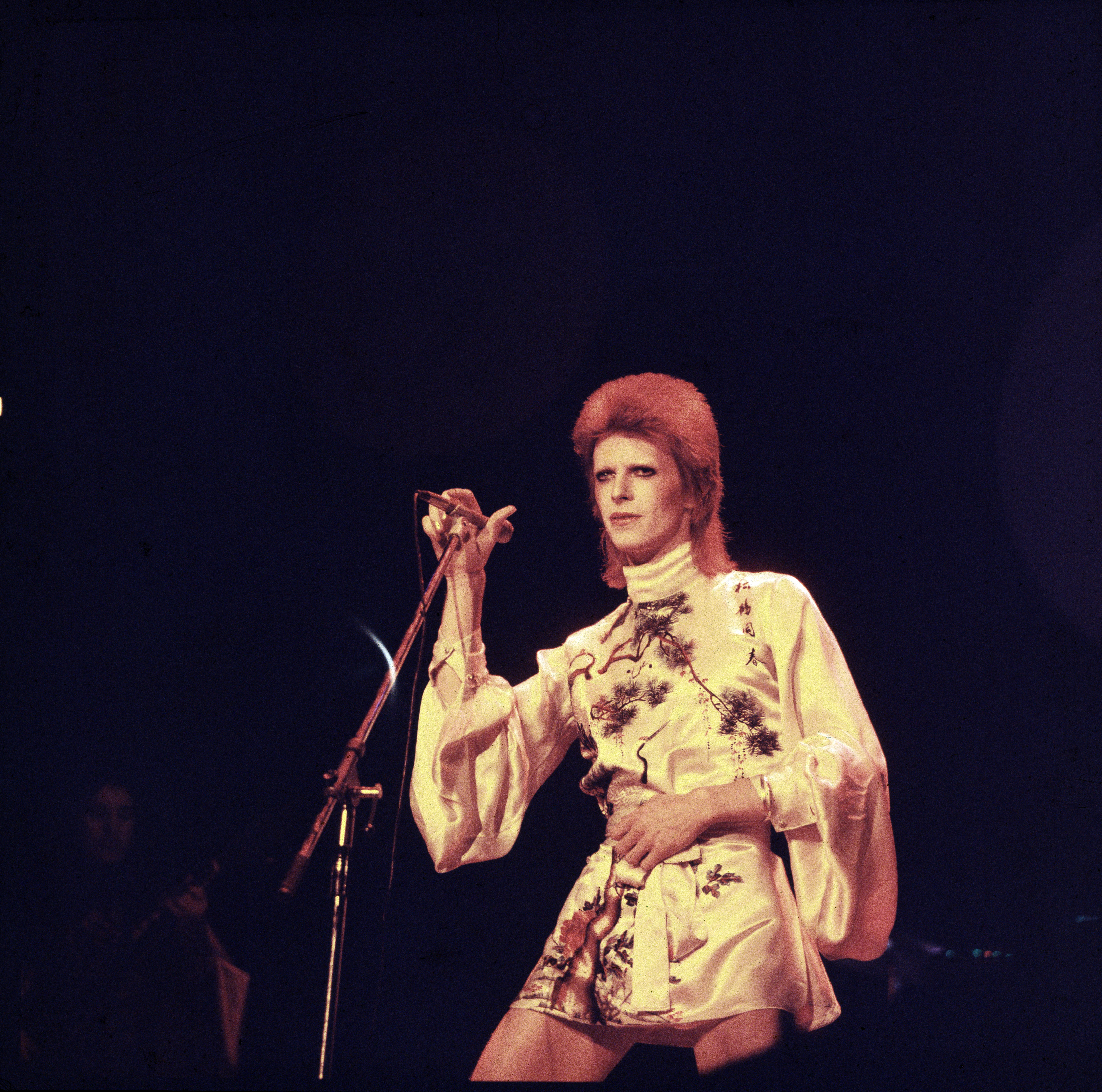 Fashion Horoscopes: The Signs as David Bowie Outfits - GARAGE