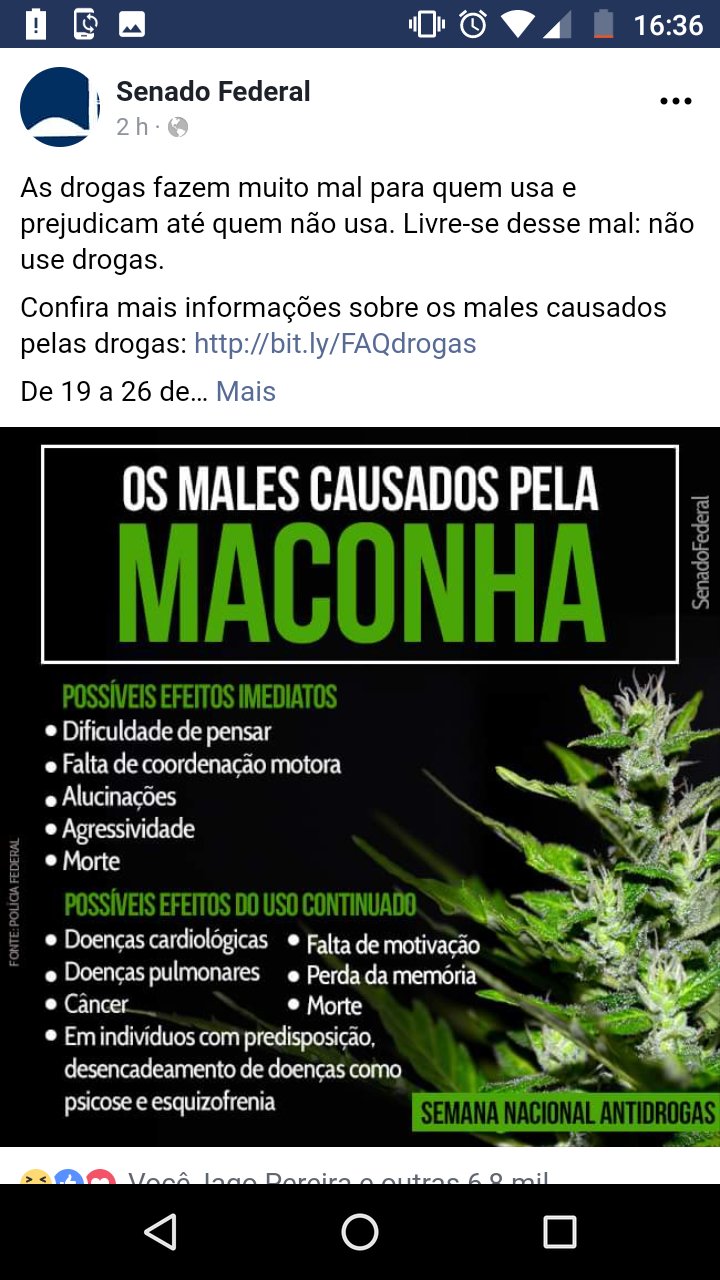 Candidato ao Senado faz campanha fumando maconha e justifica