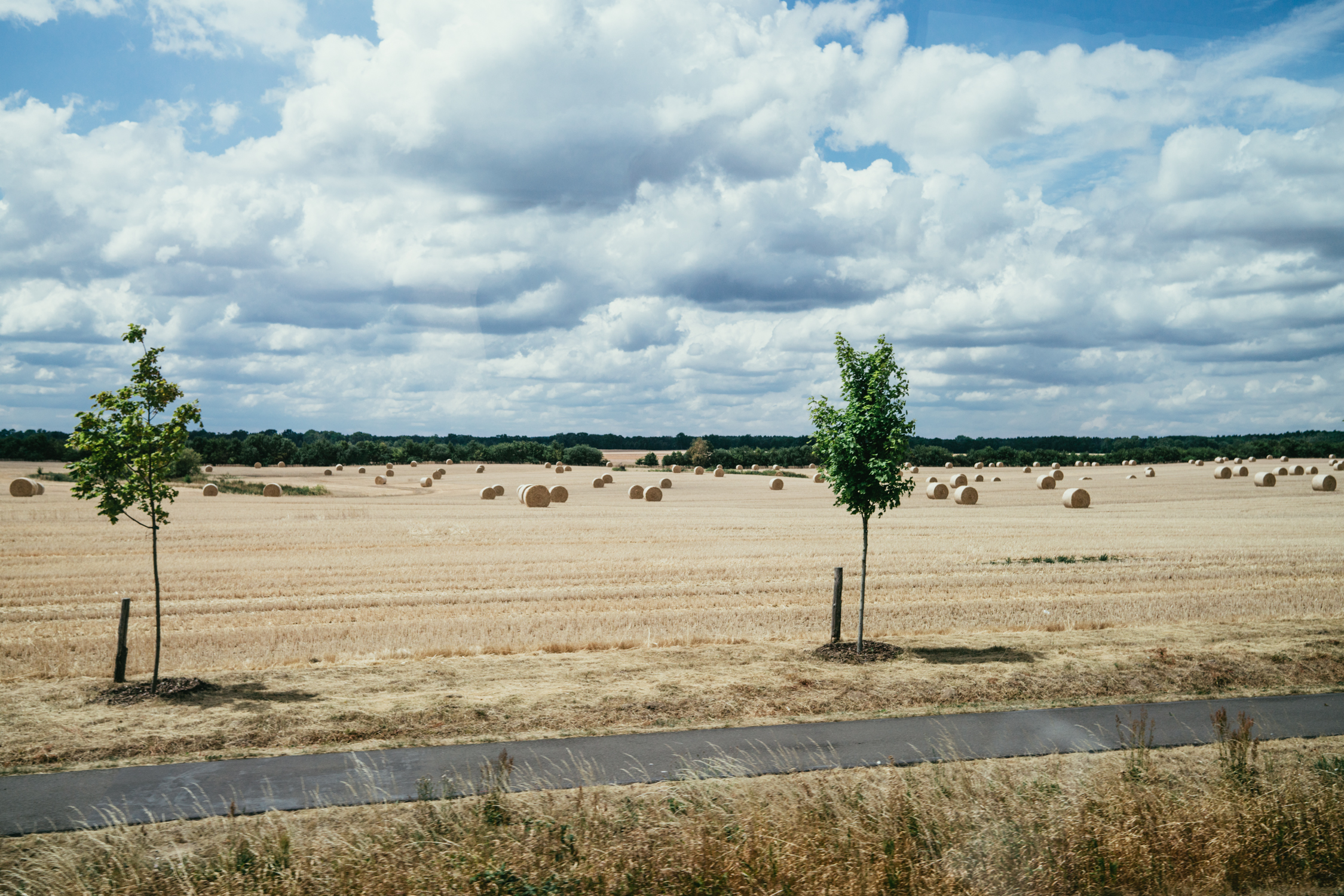 Heuballen an der Landstraße
