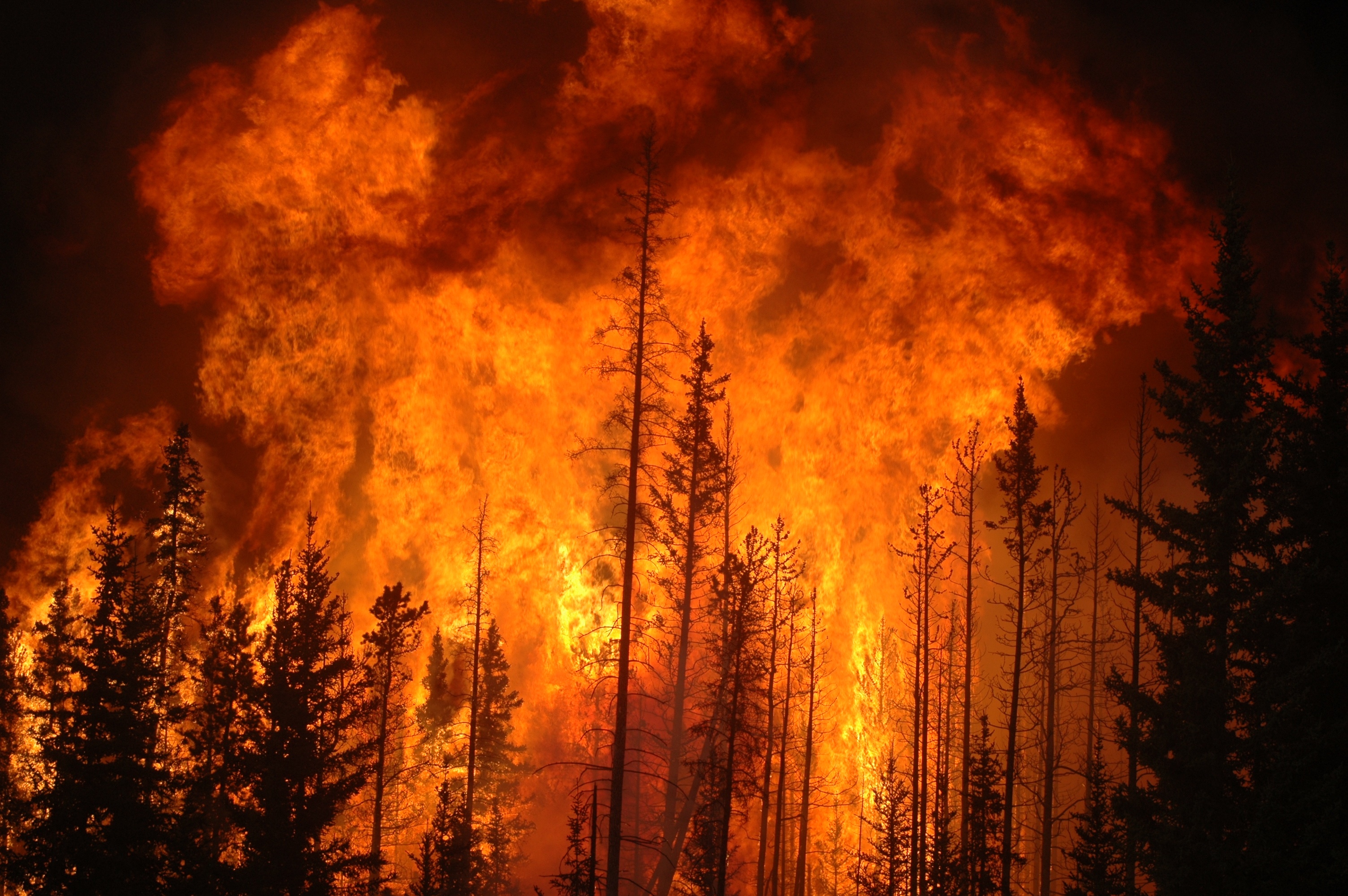 incendio forestal