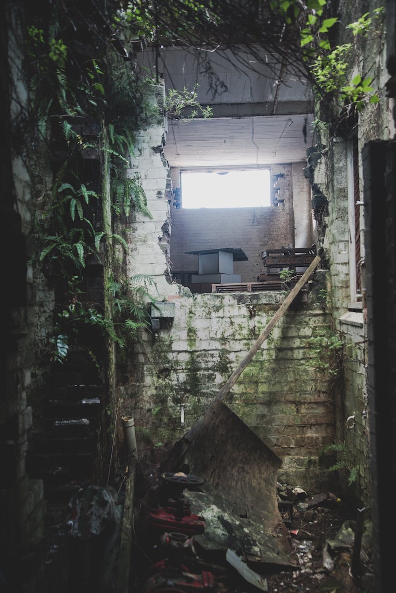 Here Are the TopThree Abandoned Buildings in Sydney VICE