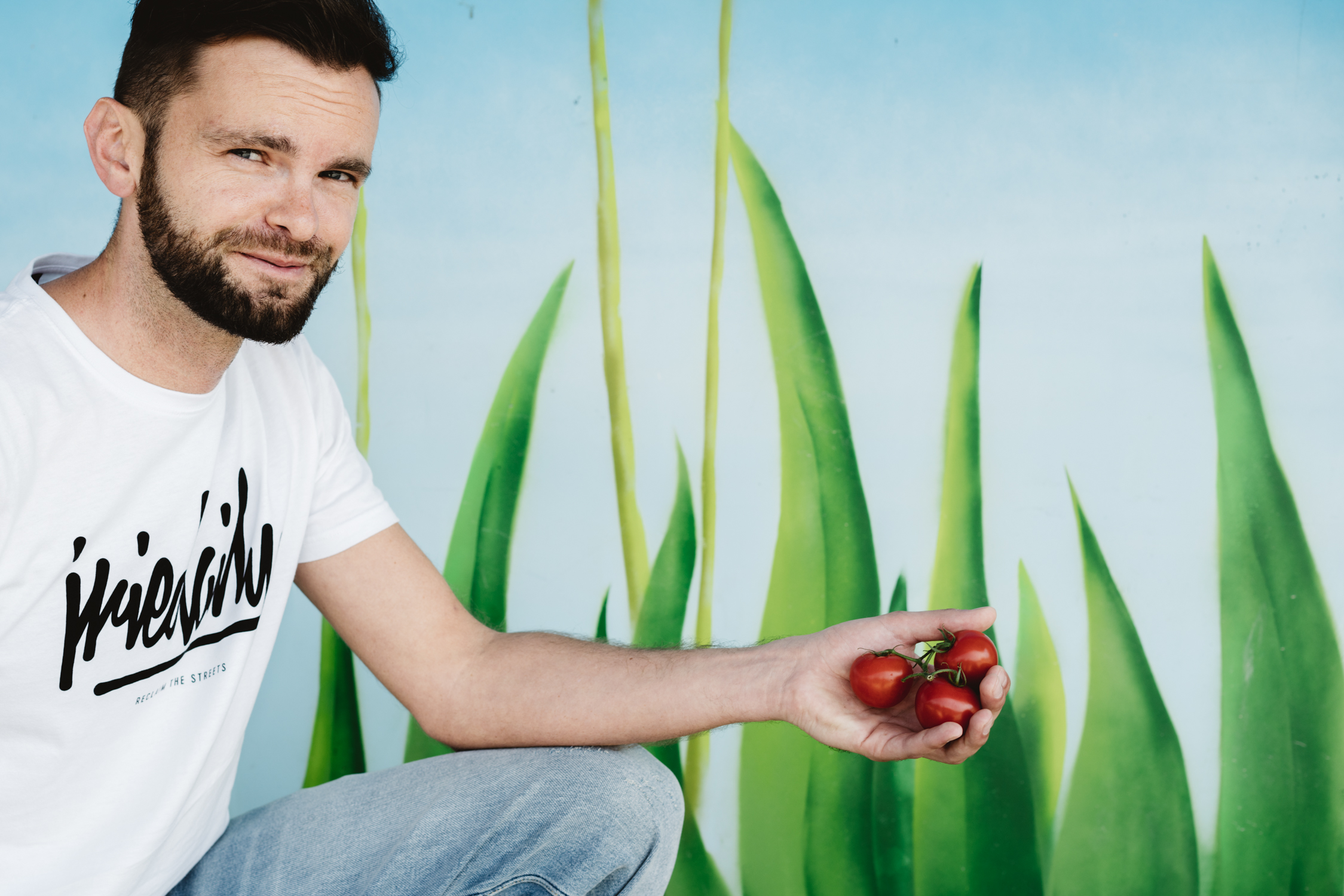 Growbox-Unternehmer Frost vor einer gemalten Wiese mit Tomaten in der Hand