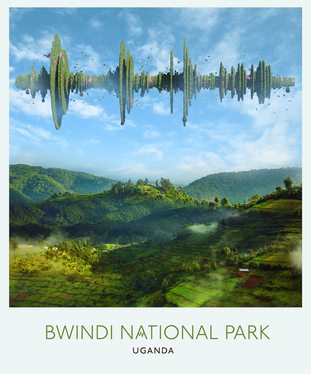 1533576270576 8 Bwindi National Park Uganda NOLOGO