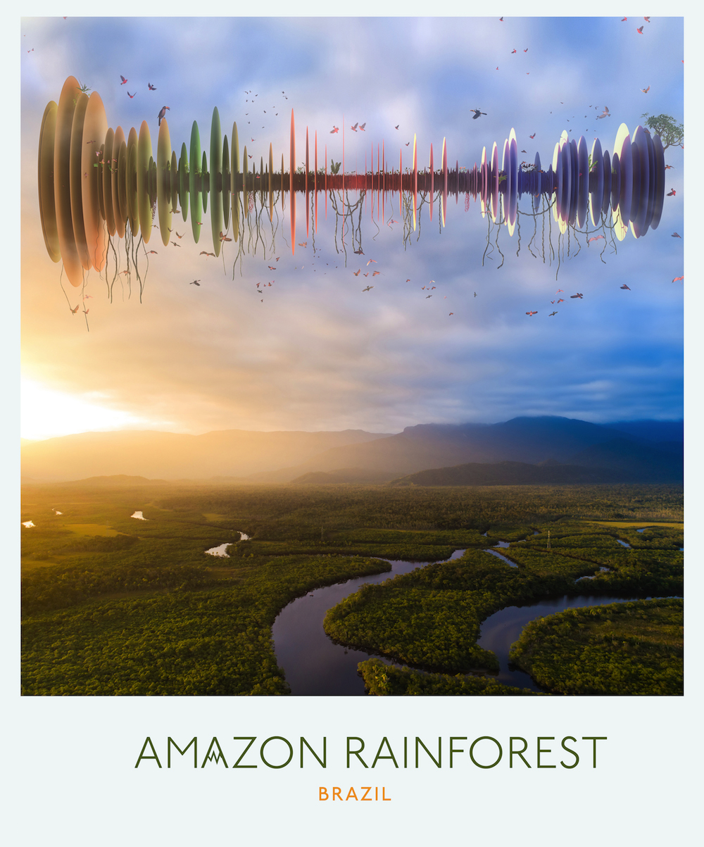 1533577408076 3 Amazon Rainforest Brazil NOLOGO