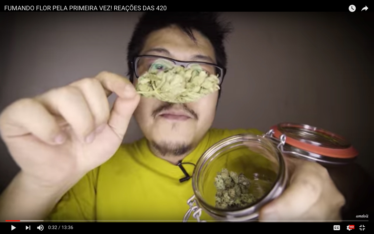 lazy placeholder Os youtubers canábicos que você mais respeita