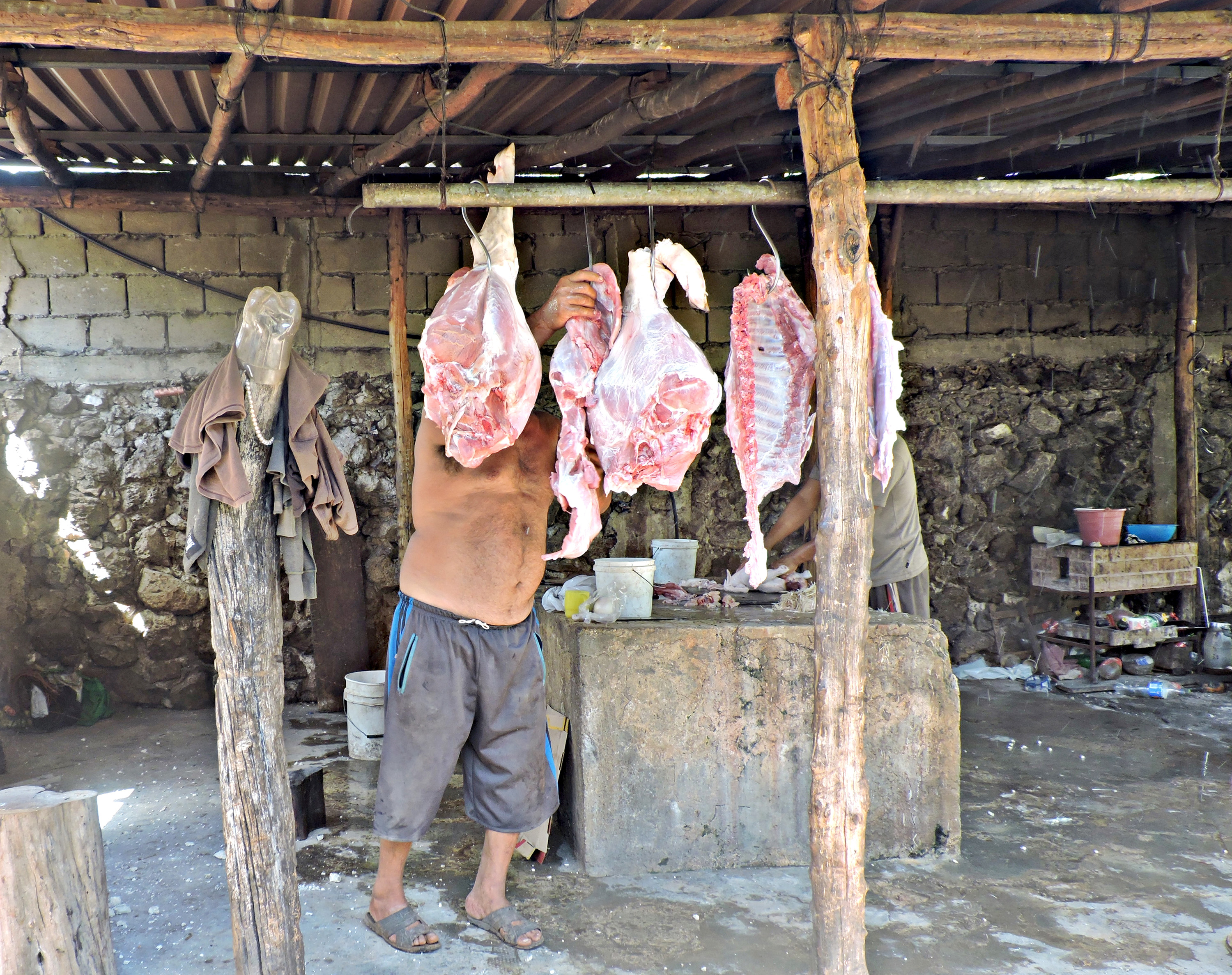 Quieres Conocer Al Puerco Que Nos Comeremos En Pibil Vice