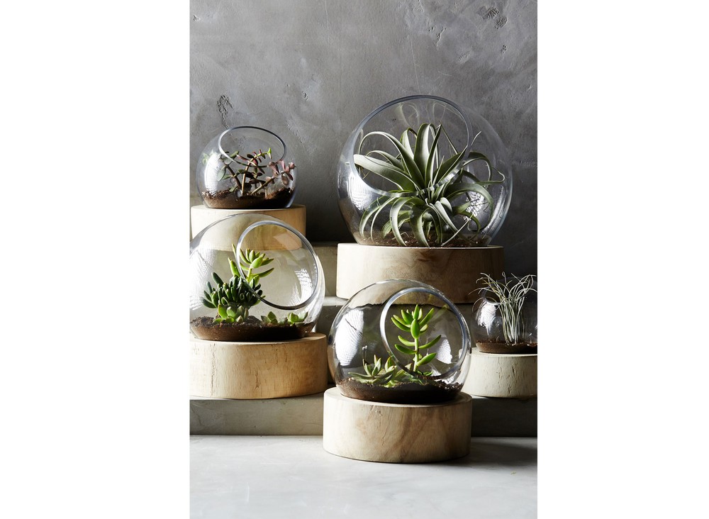 James Modern Terrariums Design Milk