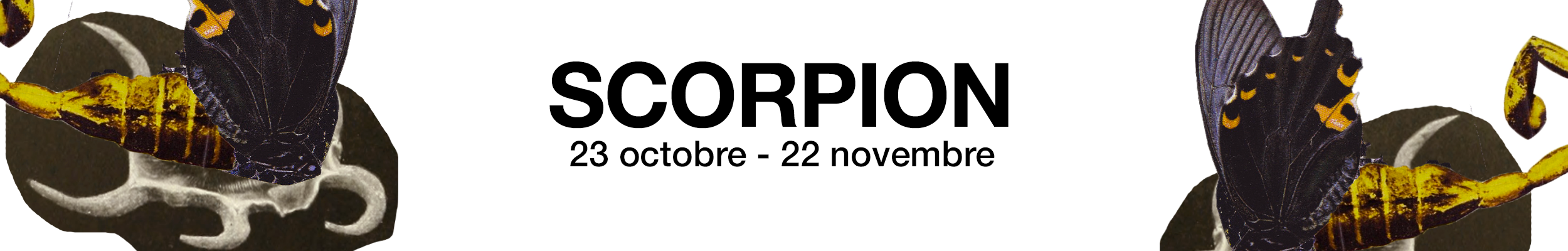 Scorpion Horoscope
