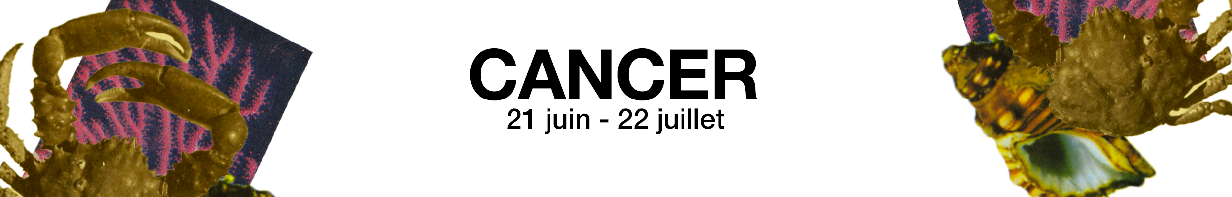 Cancer Horoscope