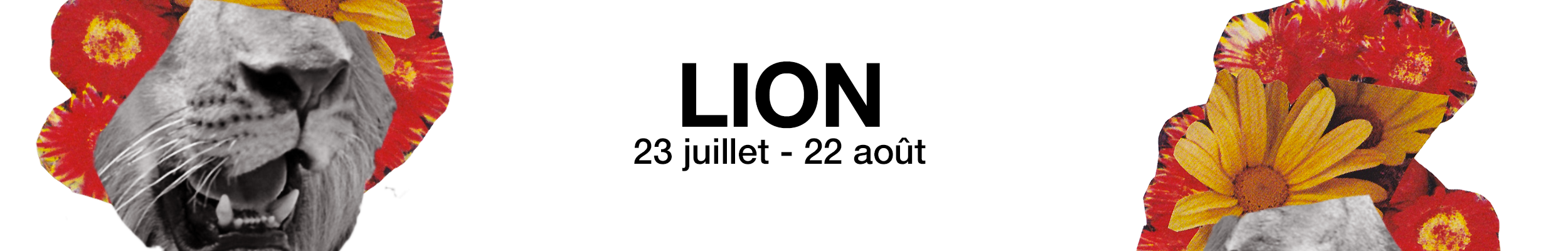 Lion Horoscope