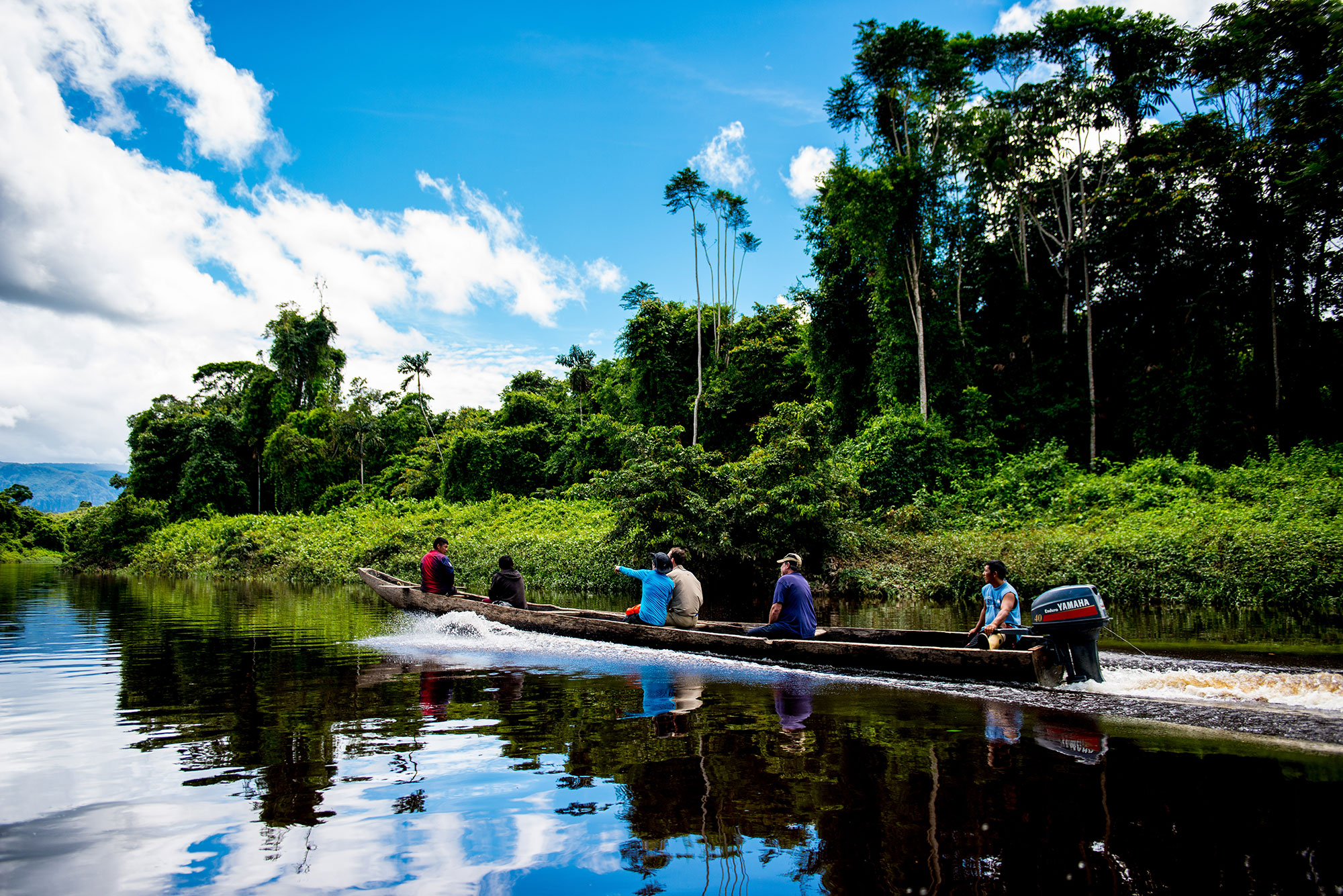 jungle predators of venezuela