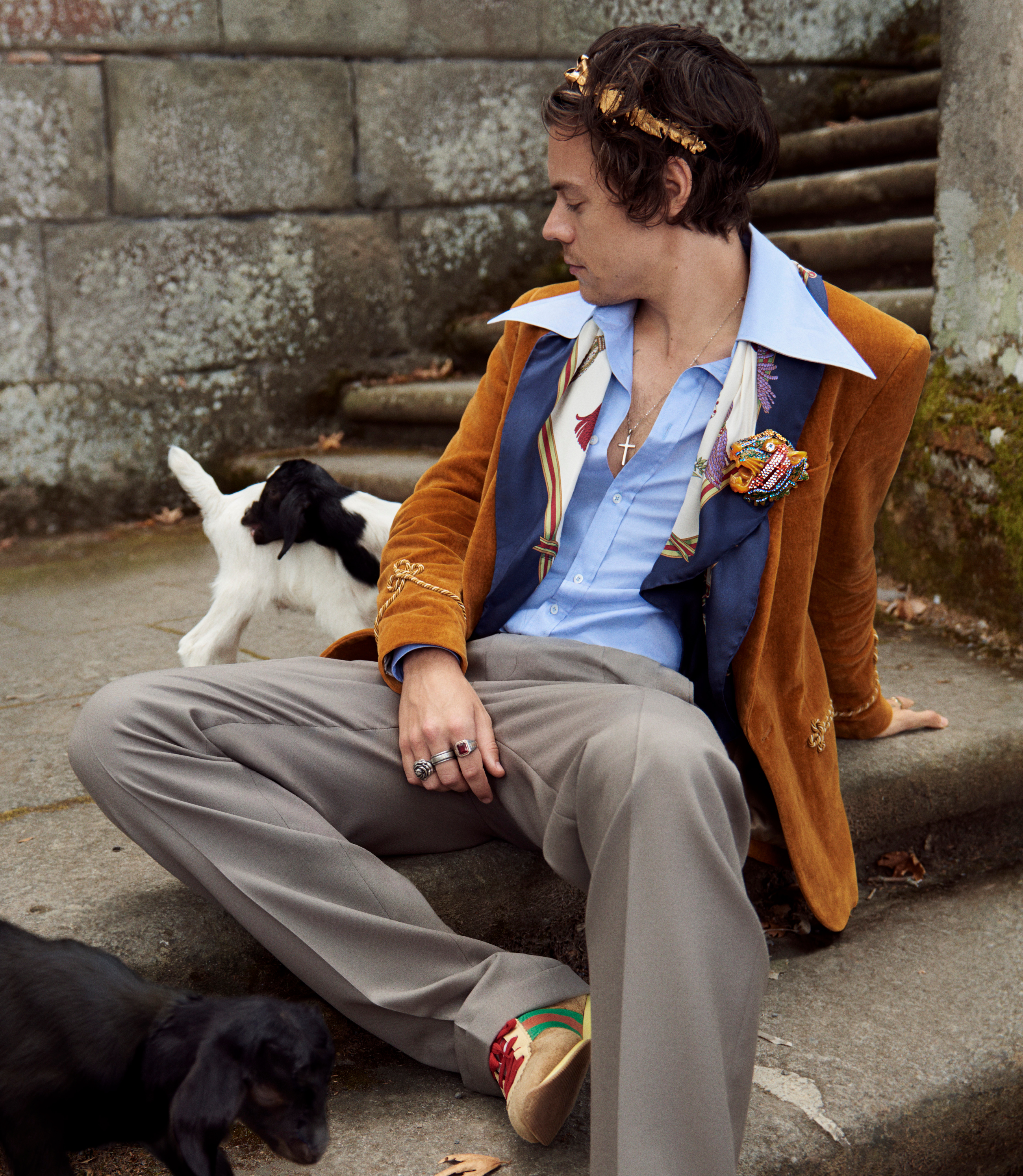 maskulinitet Selv tak Måltid here's a picture of harry styles holding a pig in the new gucci campaign -  i-D