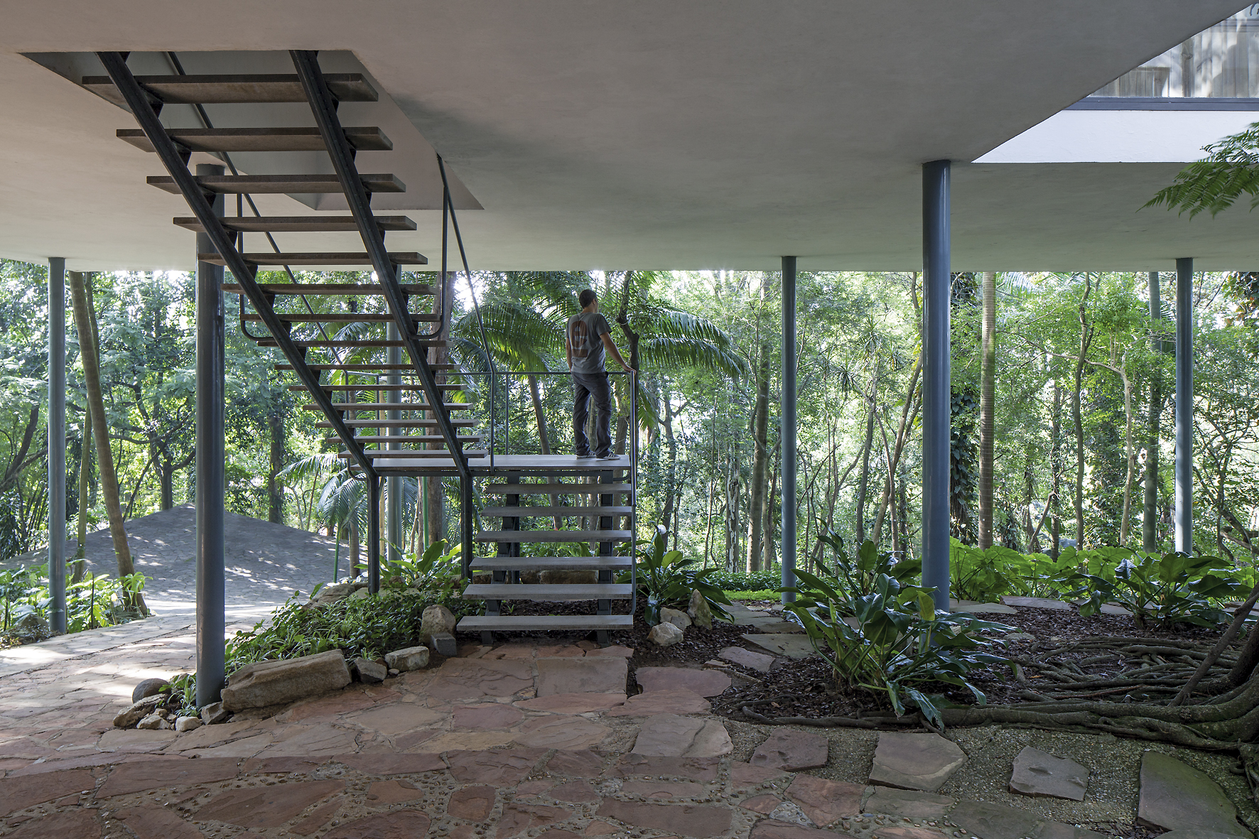 Brazilian Architecture | The Dream House Casa de Vidro - Amuse