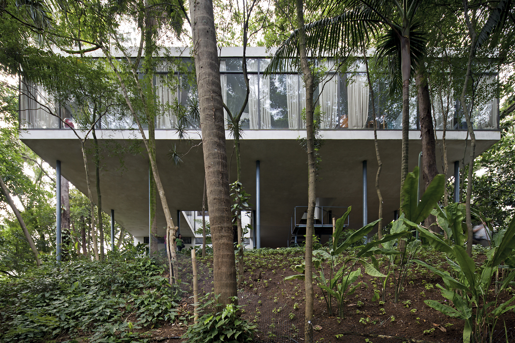 Brazilian Architecture The Dream House Casa Vidro Amuse