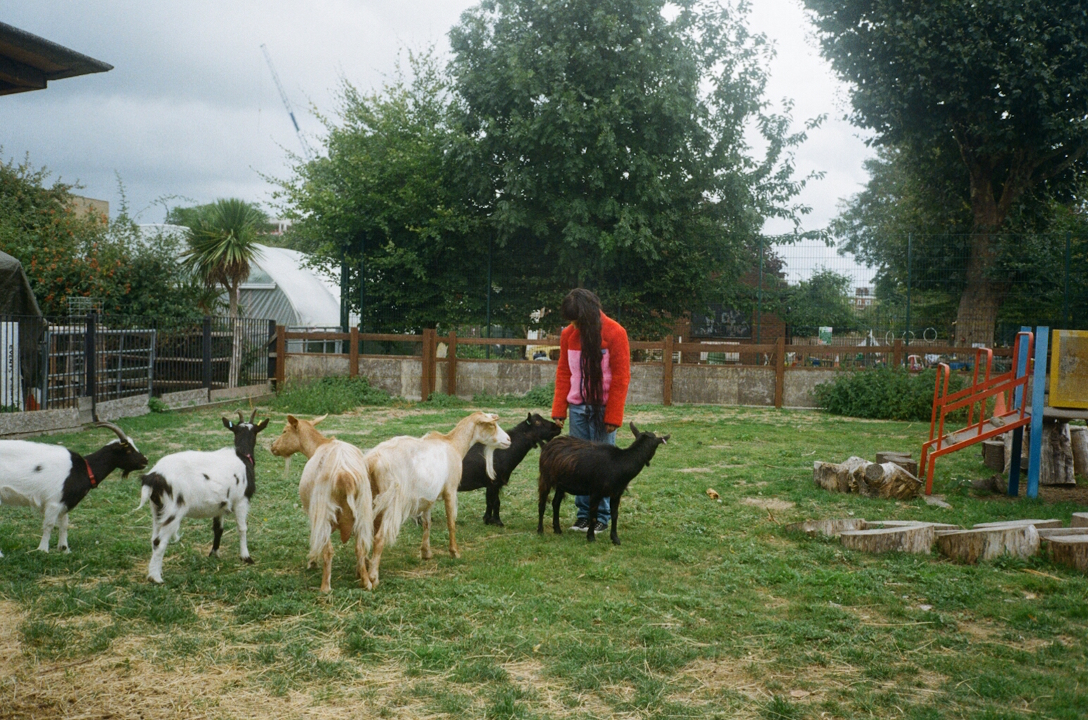 Cow Daisy Barnyard Porn - Me and Brooke Candy Hung Out With Some Farm Animals - VICE