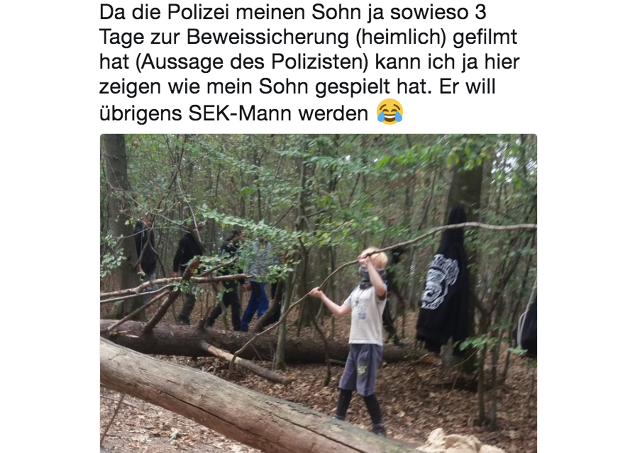 Screenshot eines Tweets auf dem ein Junge mit Halstuch einen langen Ast in einem Wald hochhält