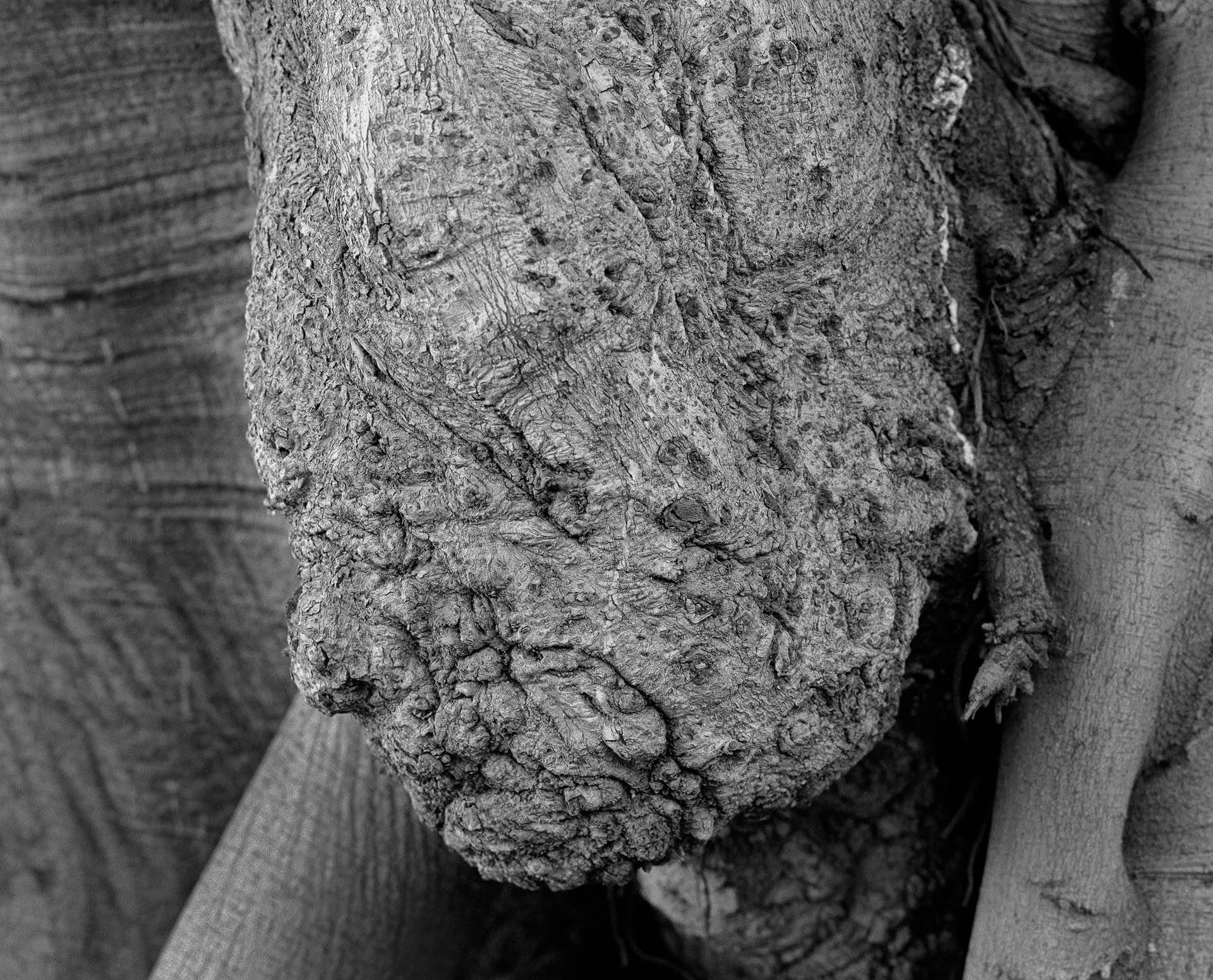 1537871166099-Calabrias-Demise-Photography-6