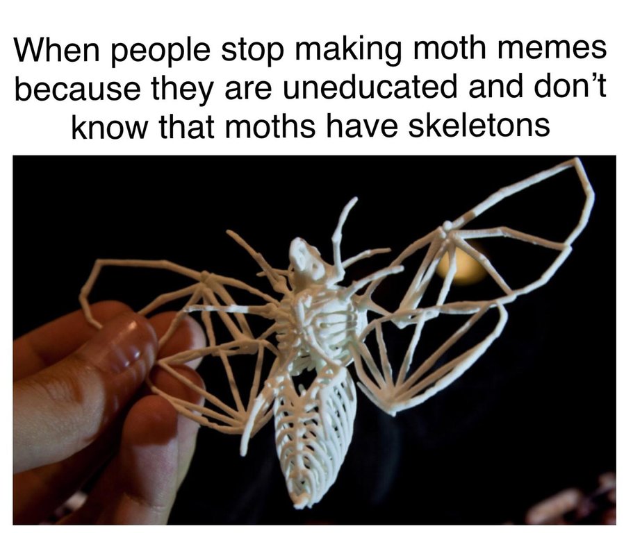 Move Over Moth Memes, Spooky Memes Are Here Just in Time for Halloween