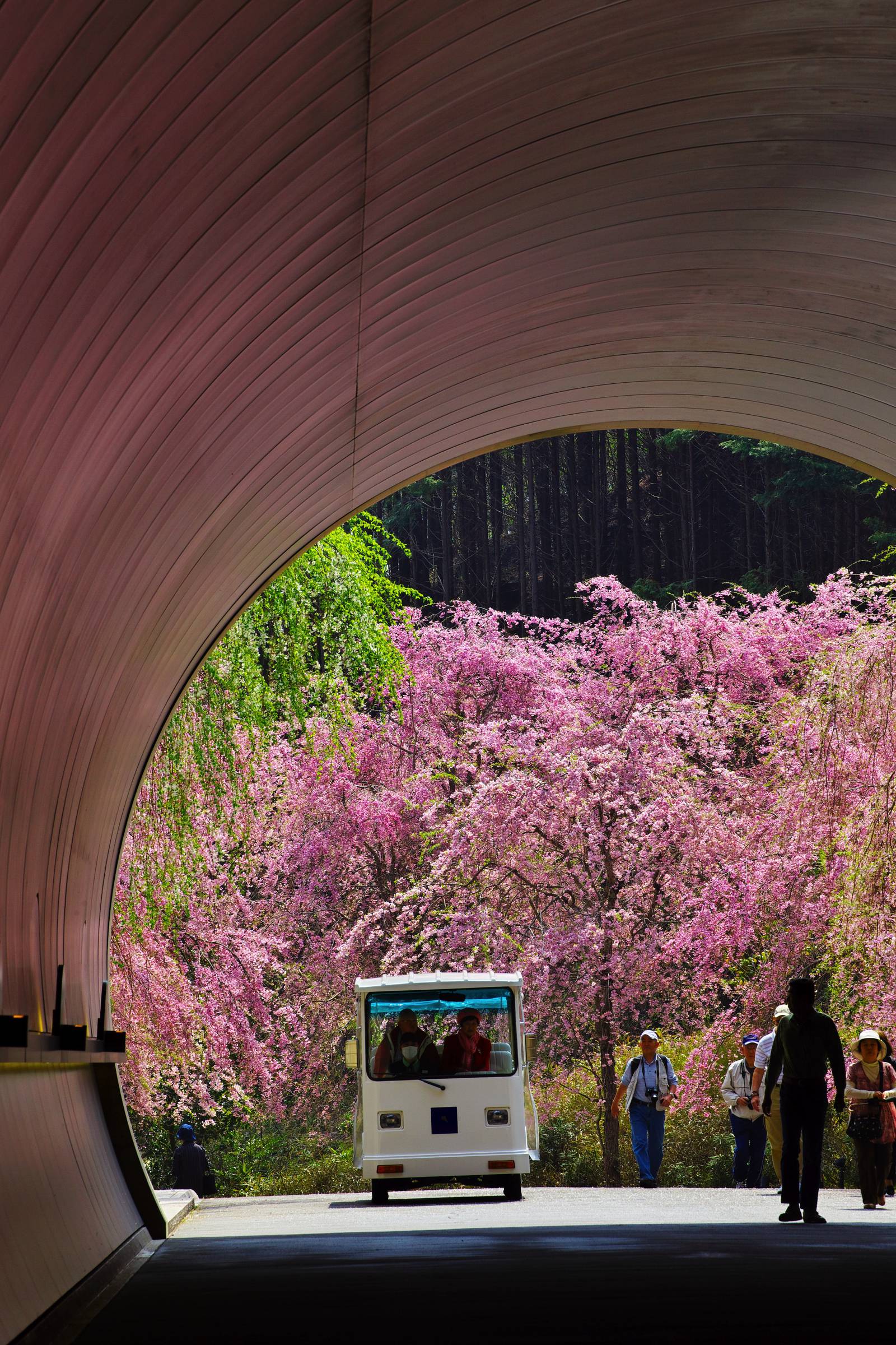 Miho Museum, Japan; An Architectural Masterpiece – Blue Haired Blonde