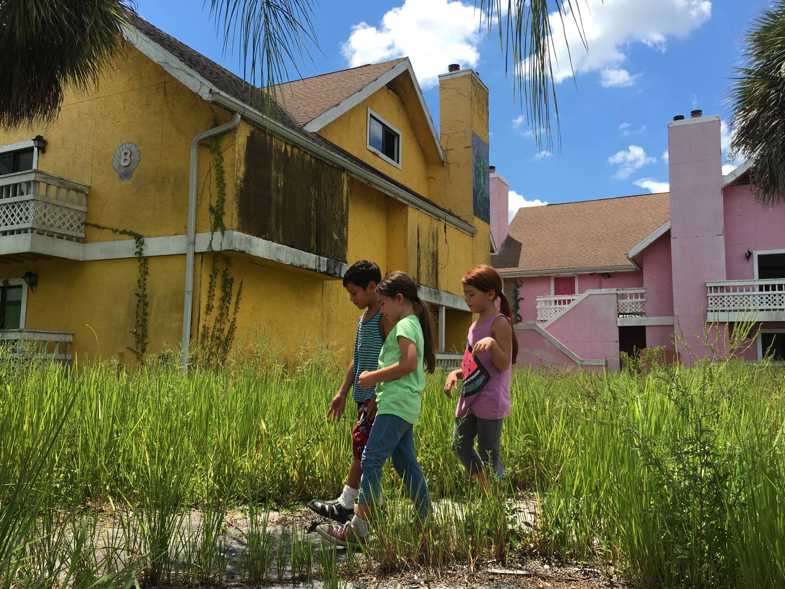 Lurid Colours A Look At The Florida Project Amuse