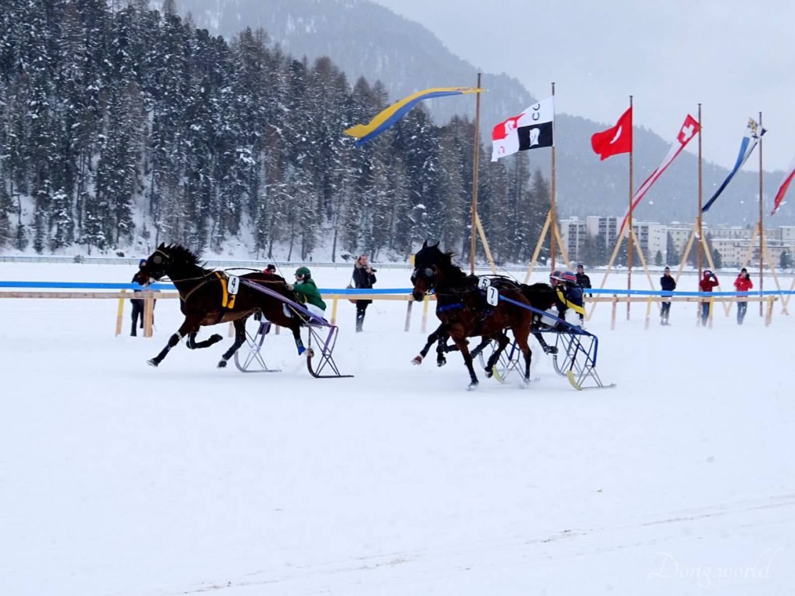 1538997829295-ski-joring