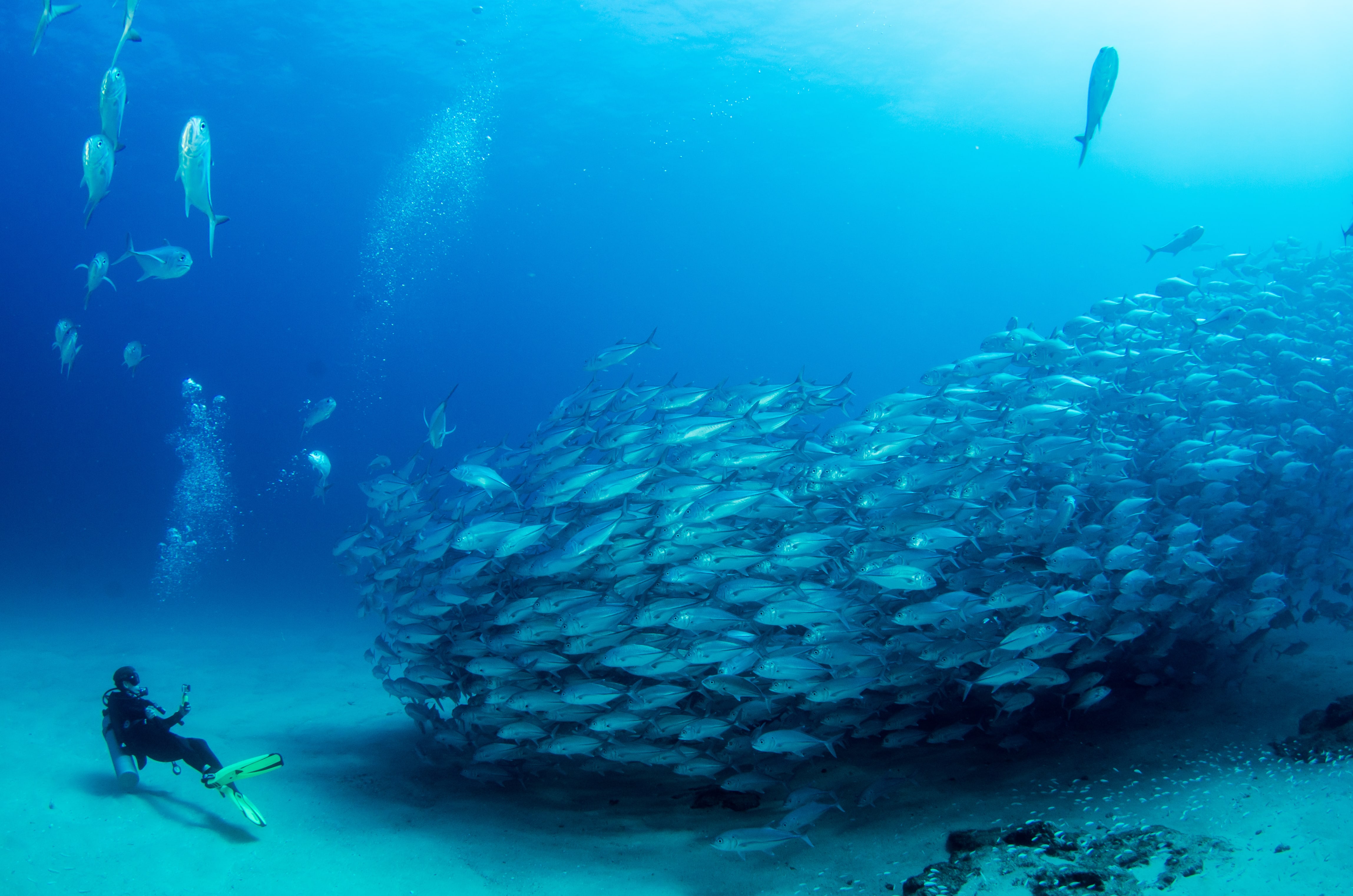 1539079285588-Diving-min