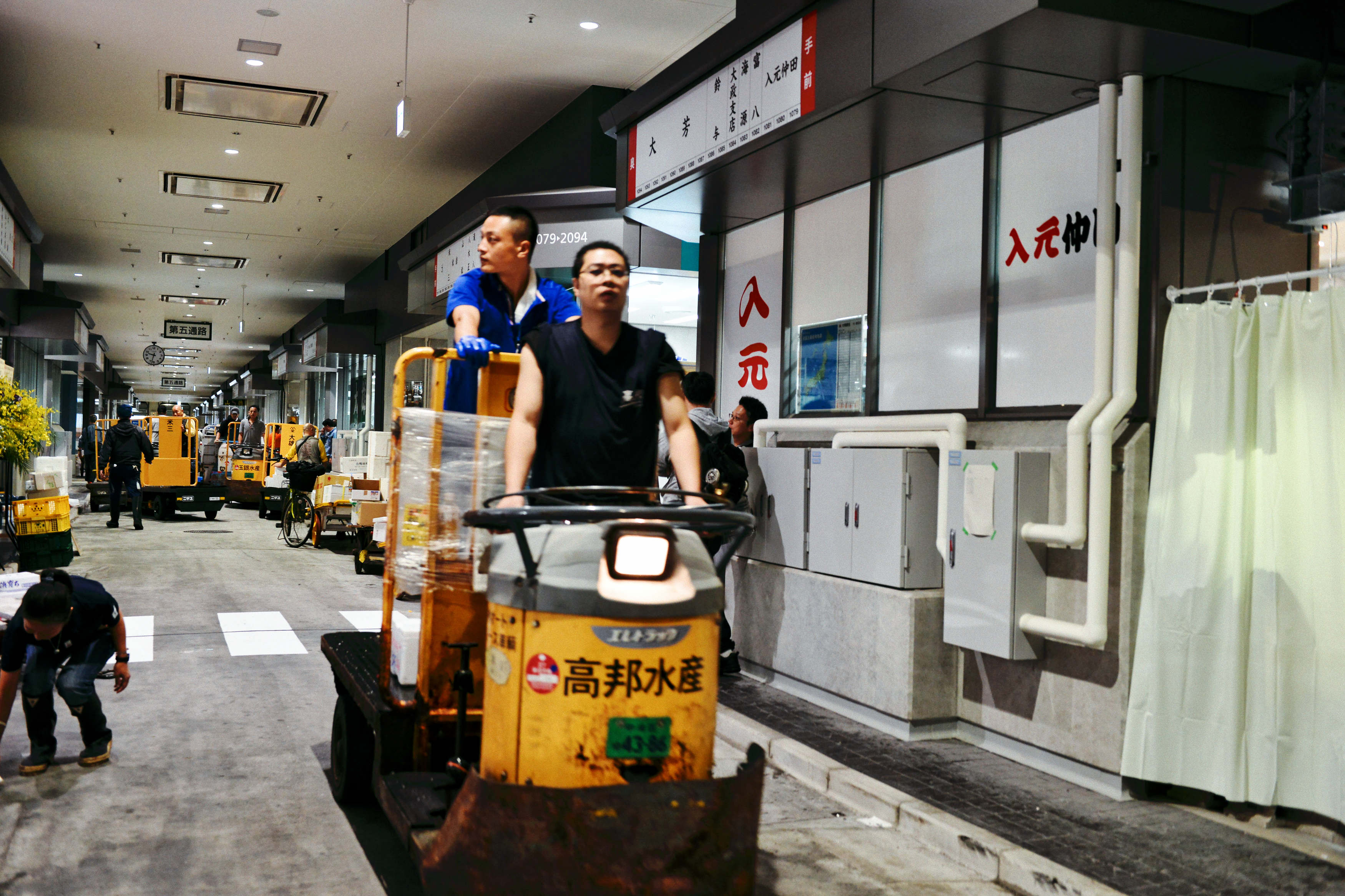 1539424011269-DSC_8796-20as