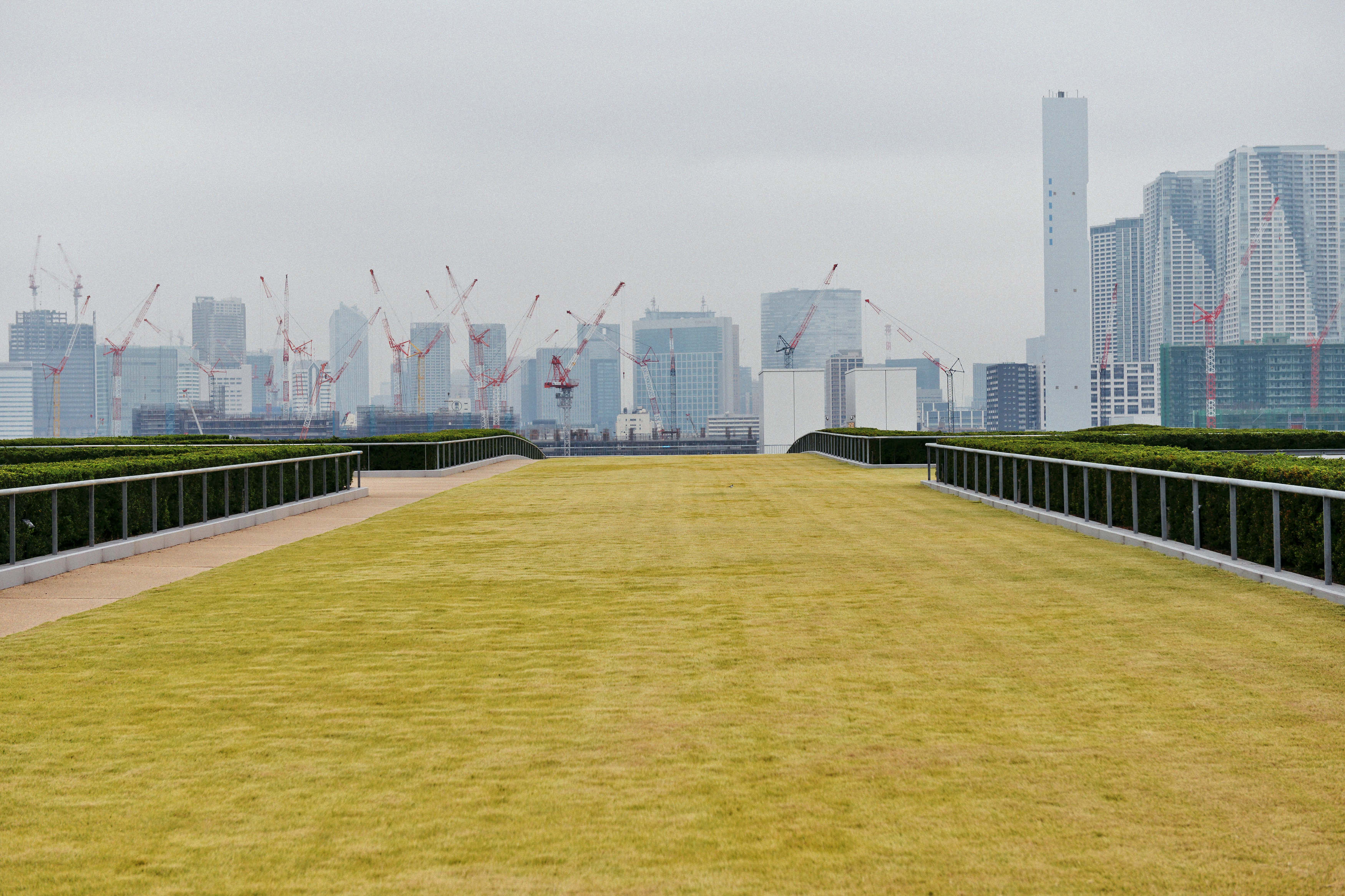1539424589234-DSC_8881-32as
