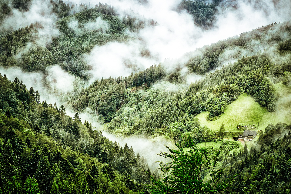 what-a-wonderful-world-black-forest-germany