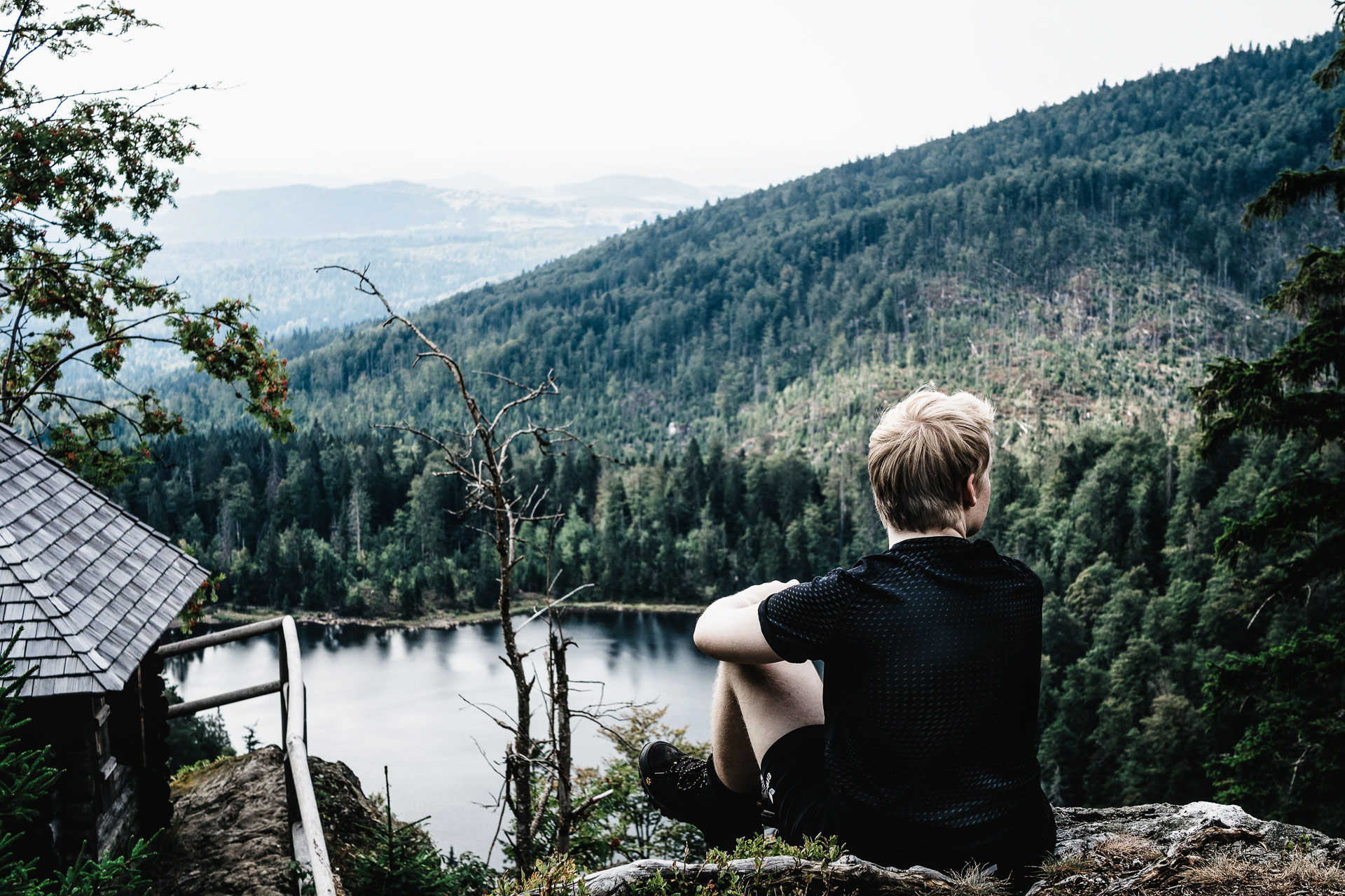 Waldeinsamkeit-