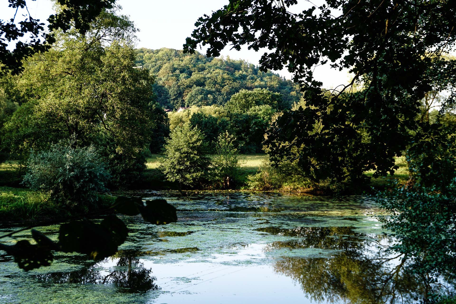 -Waldeinsamkeit-Traditional-German-Wellness-Cure-for-Stress-Solitude-in-ForestsBad-ORb1