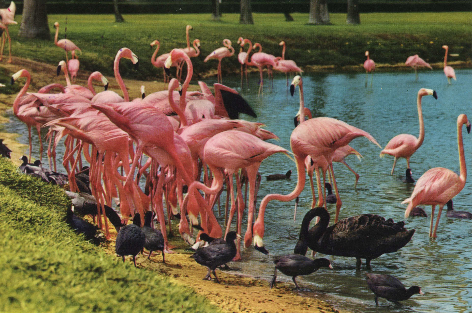 Florida-by-John-Hinde-