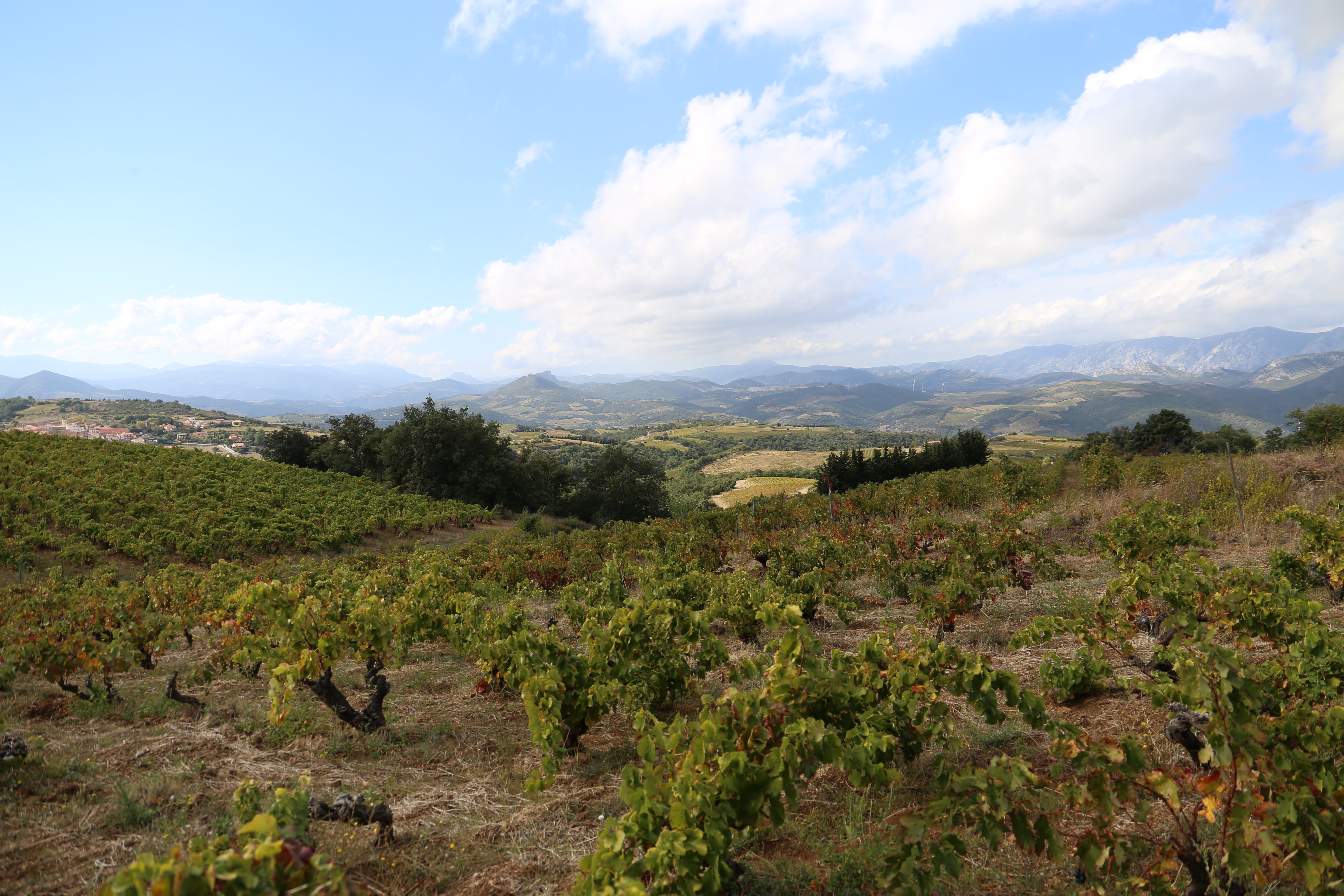Vin Nature Jajakistan Paysage