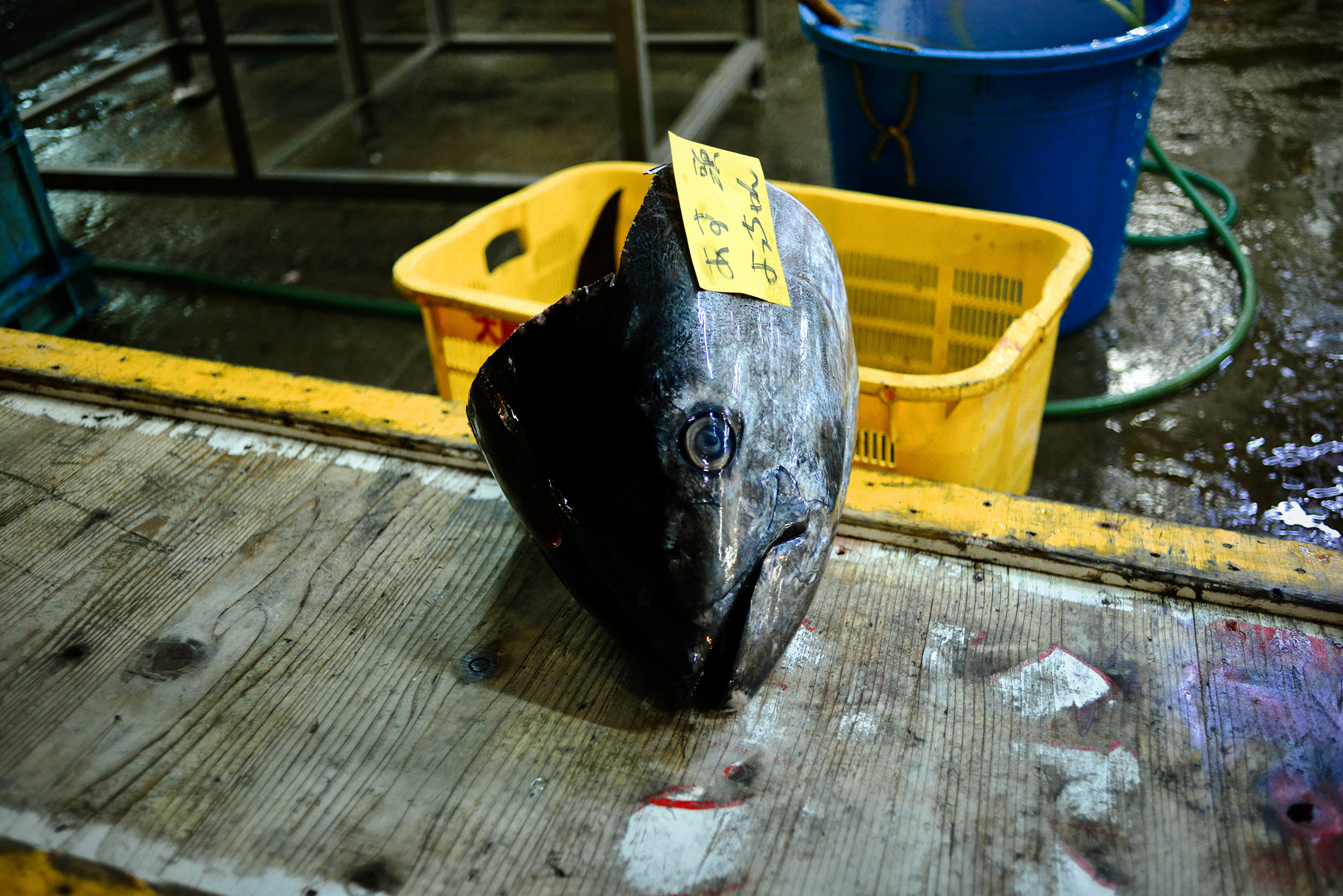 1539606465204-DSC_7433as