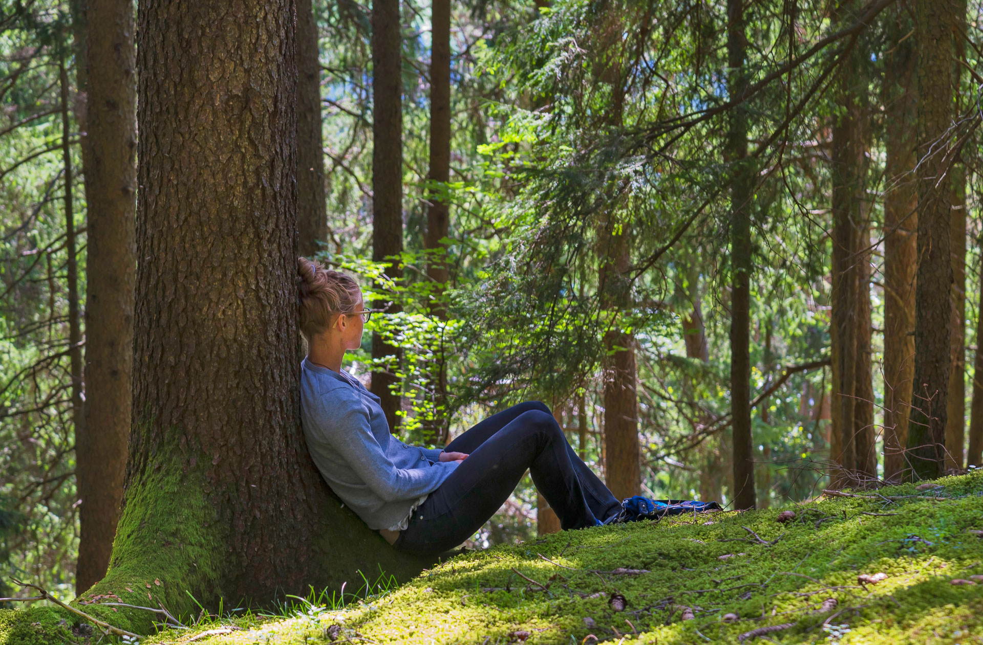 Forest bathing что это